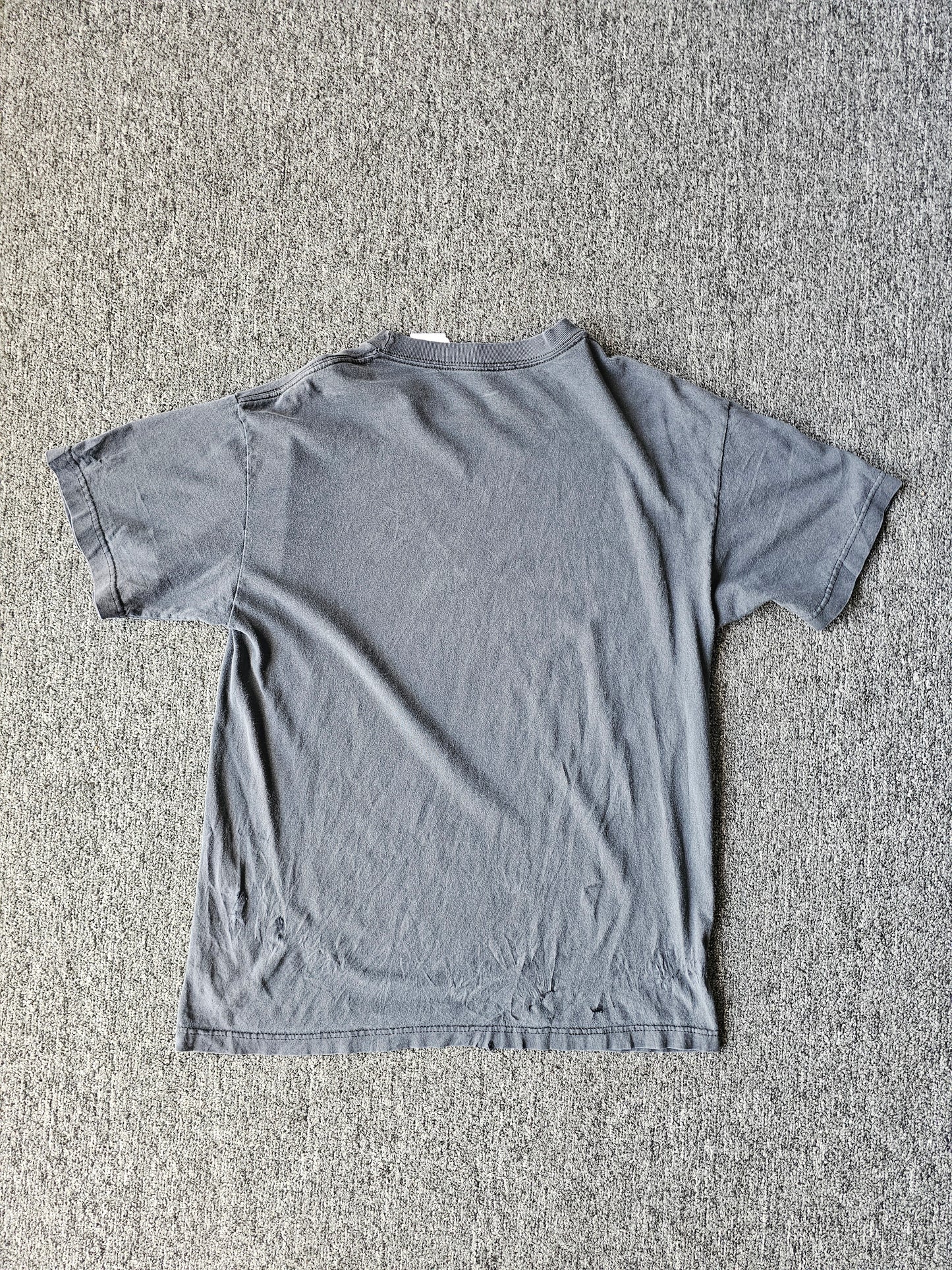 Disturbed Band Tee Distressed Fader (L)