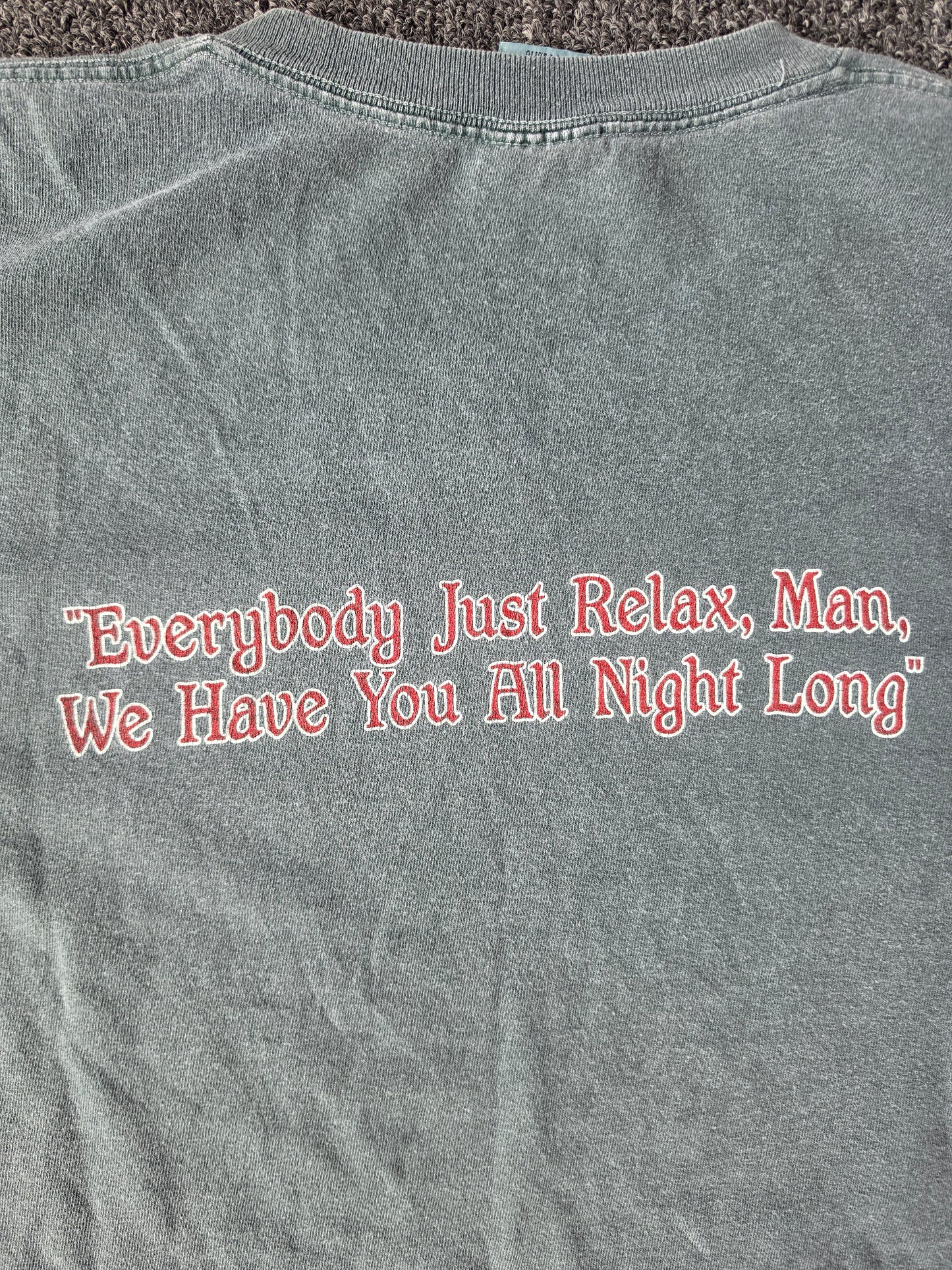 Grateful Dead Harpur College Band Tee (L)