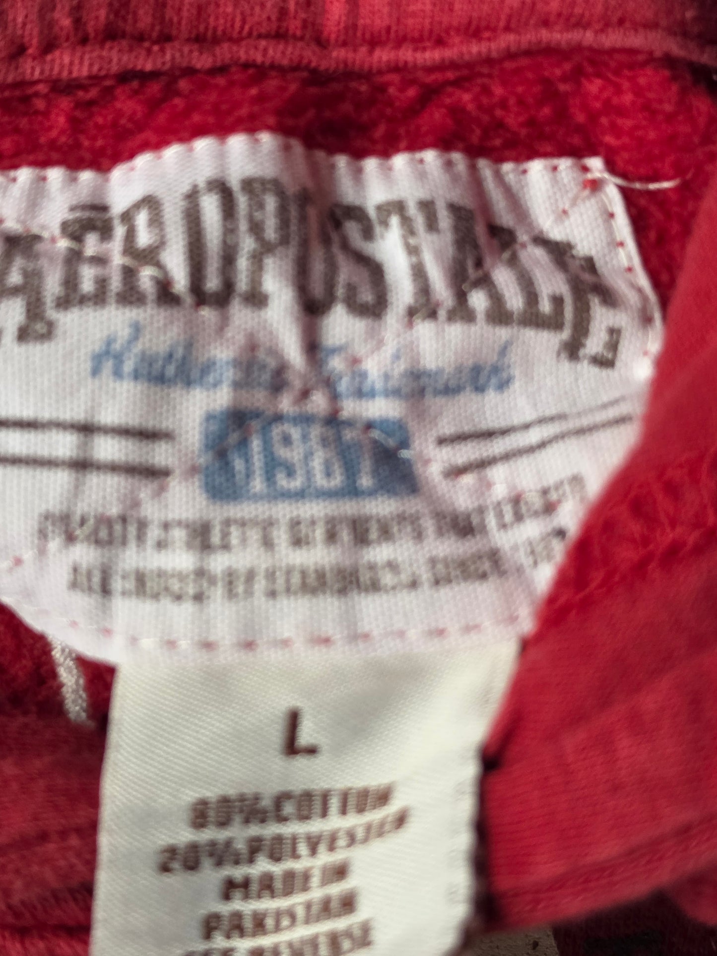 Abercrombie and Fitch Embroidered Hoody (L)