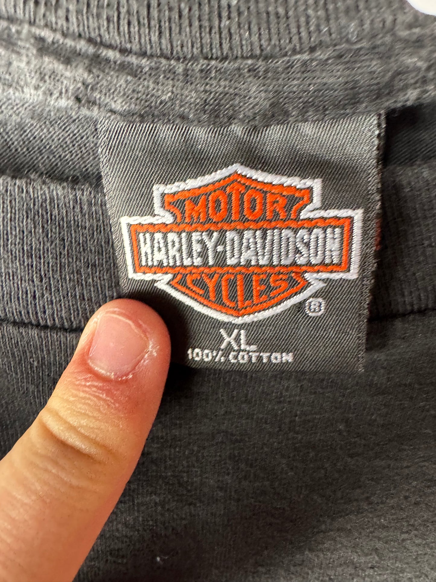 Harley Davidson Flame Shirt (XL)