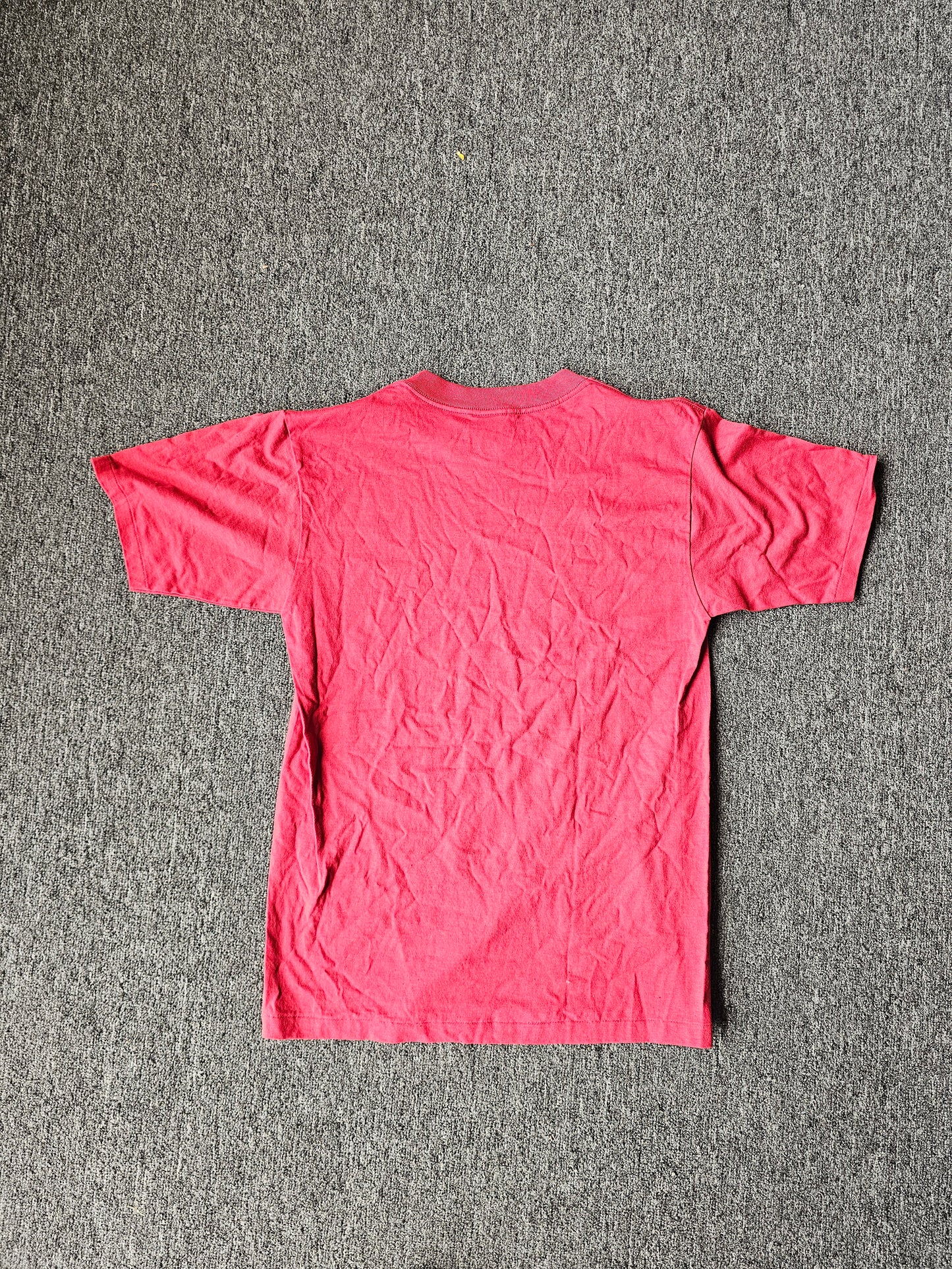 Yellowstone Embroidered Nature Single Stitch 90s tee - Prairie Mountain Tag - Size L