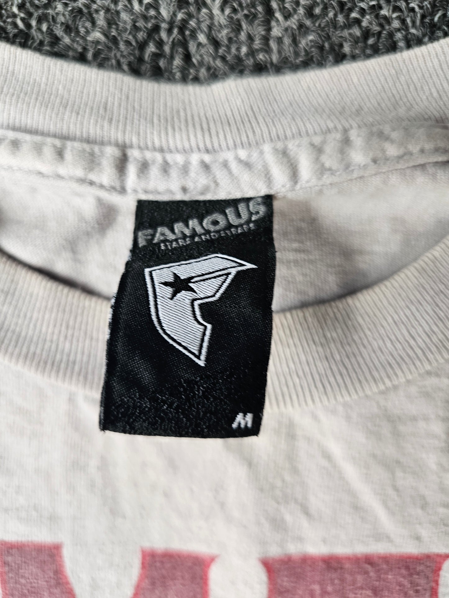 Famous Stars Skull Y2K Tee (M)