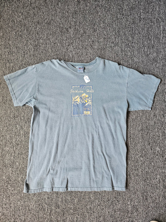 Jackson Hole Wyoming Nature 90s Fader Tee (L)