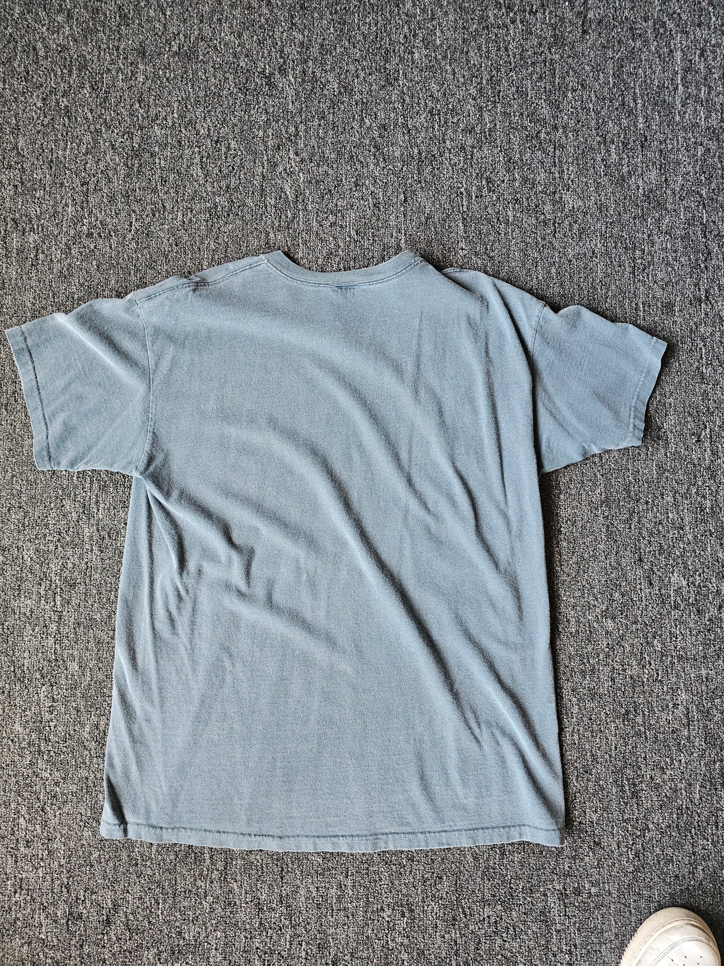 Jackson Hole Wyoming Nature 90s Fader Tee (L)
