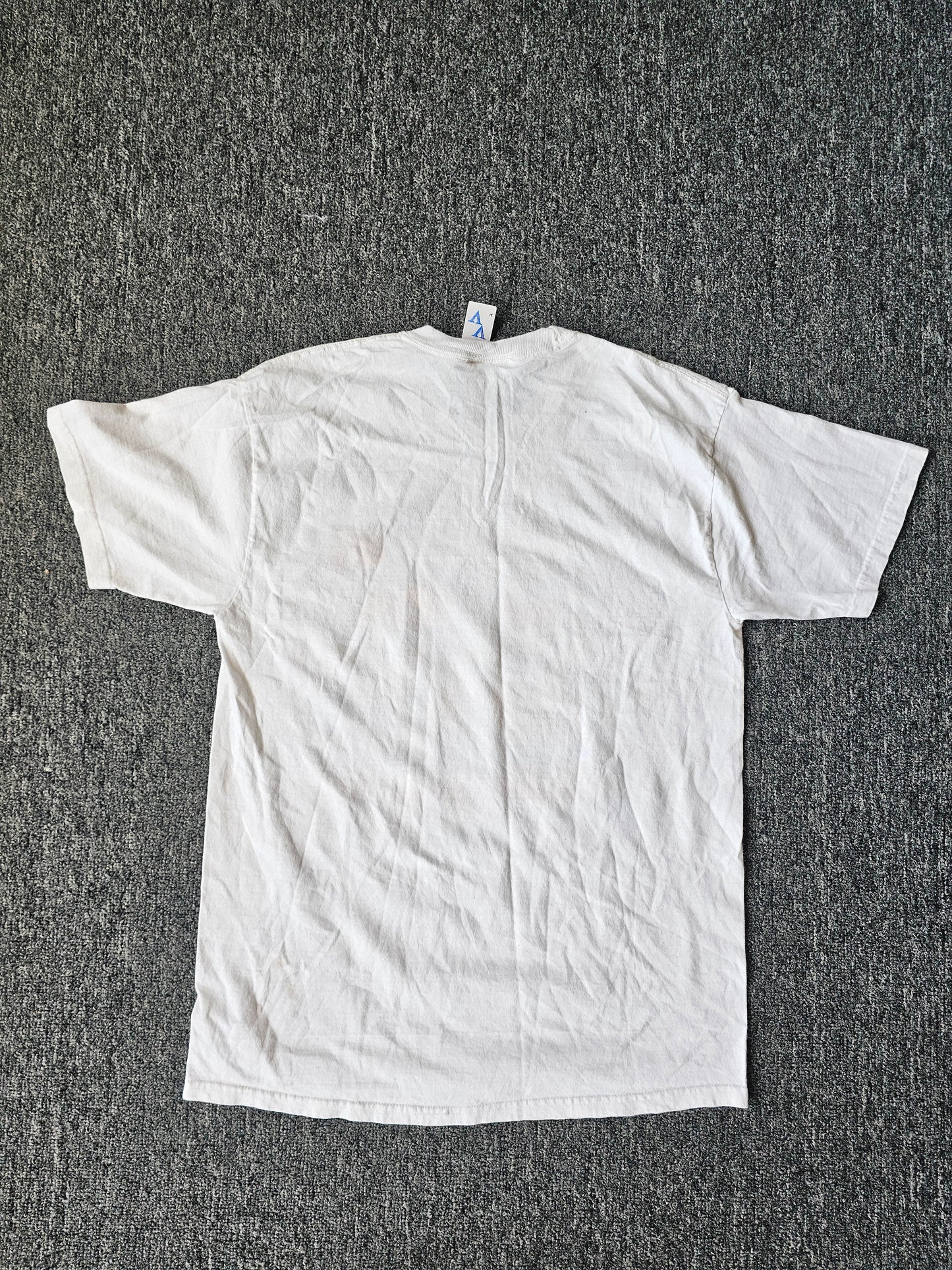 Dale Earnhardt Jr. 2007 Nascar Tee (L)