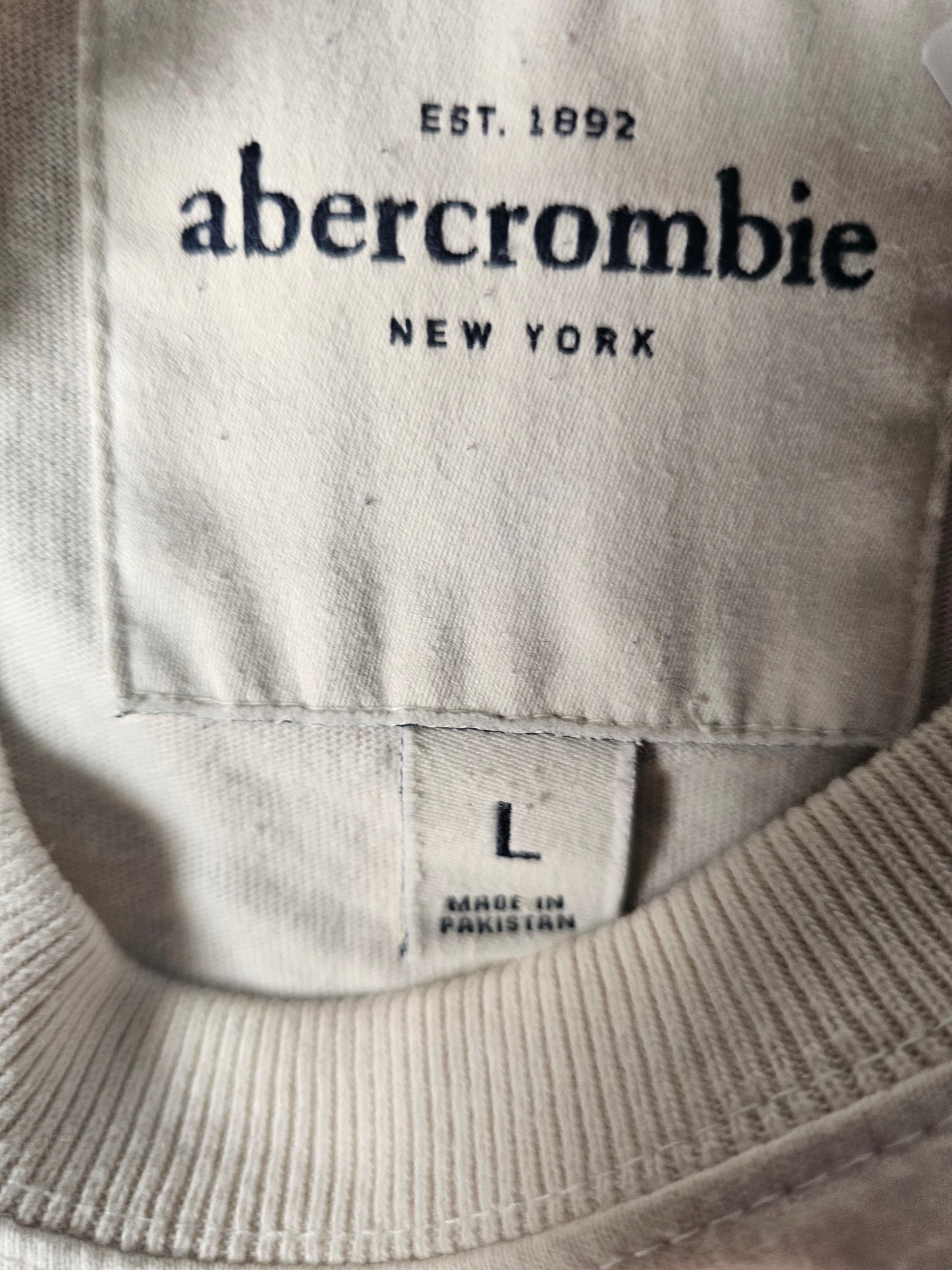 Abercrombie & Fitch NY State Long Sleeve (L fits like M)