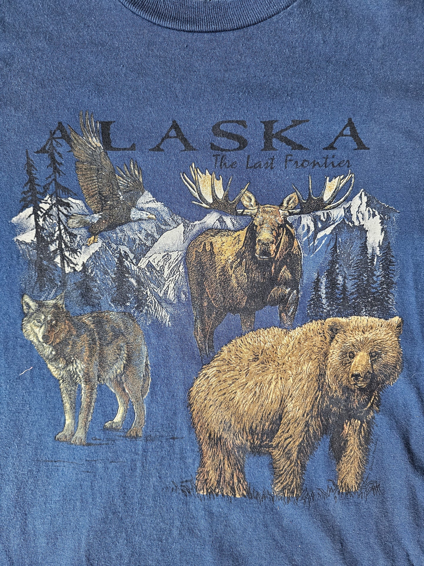 Alaska The Last Frontier 90s Nature Tee (L)
