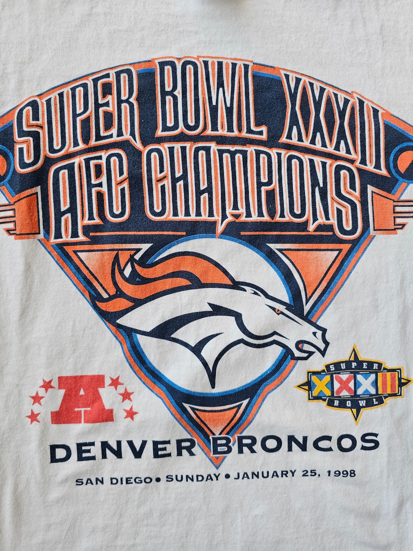 Denver Broncos NFL AFC Champions 1998 (L)