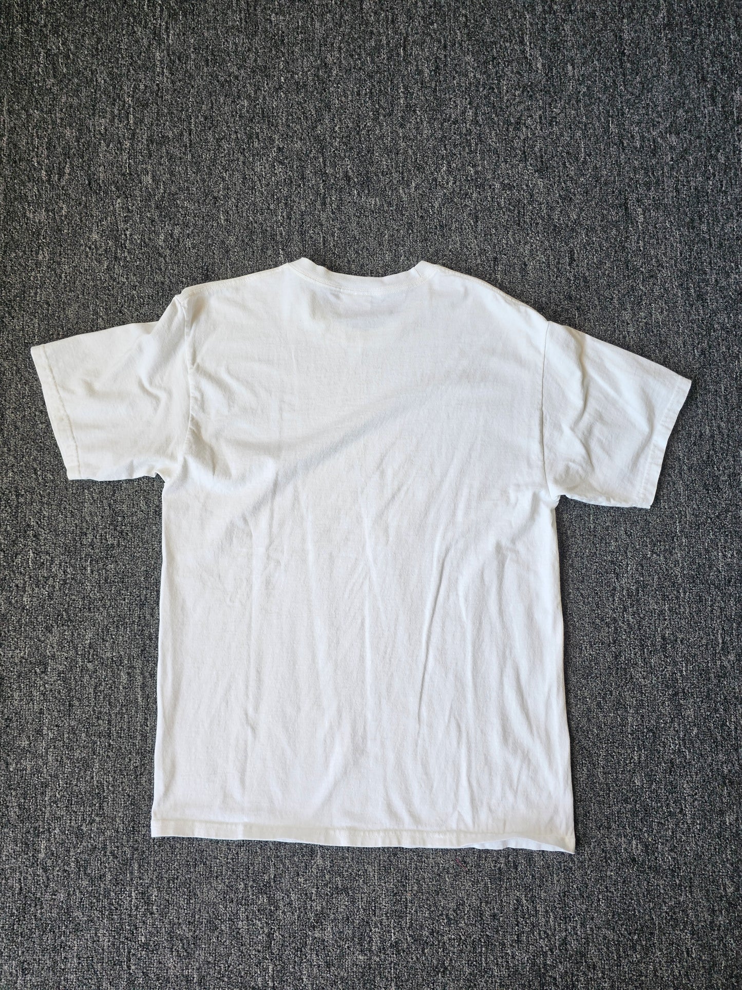 Yellowstone National Park Wolf 90s Nature Tee (L)