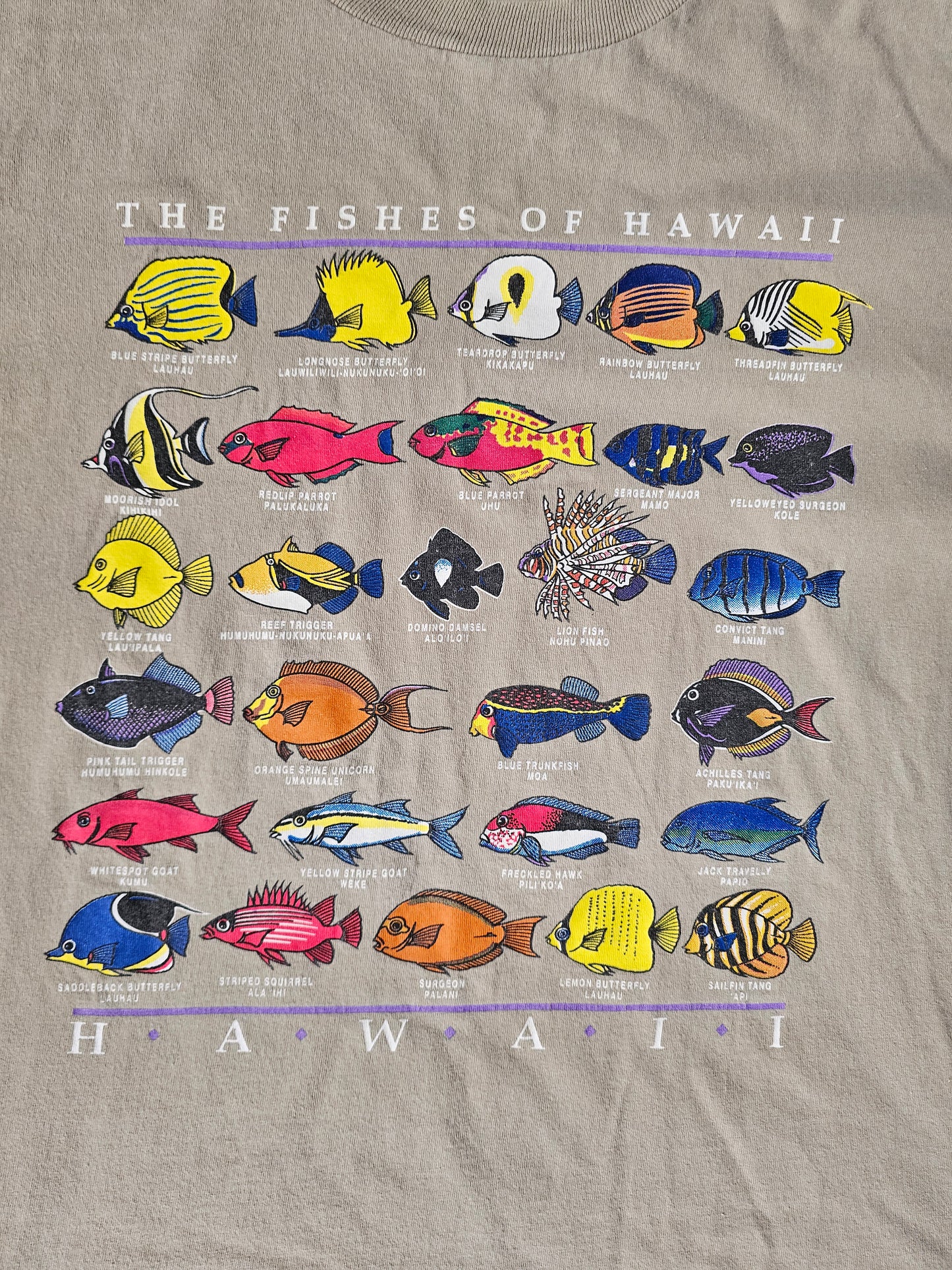 Fishes of Hawaii Nature Tee (XL)