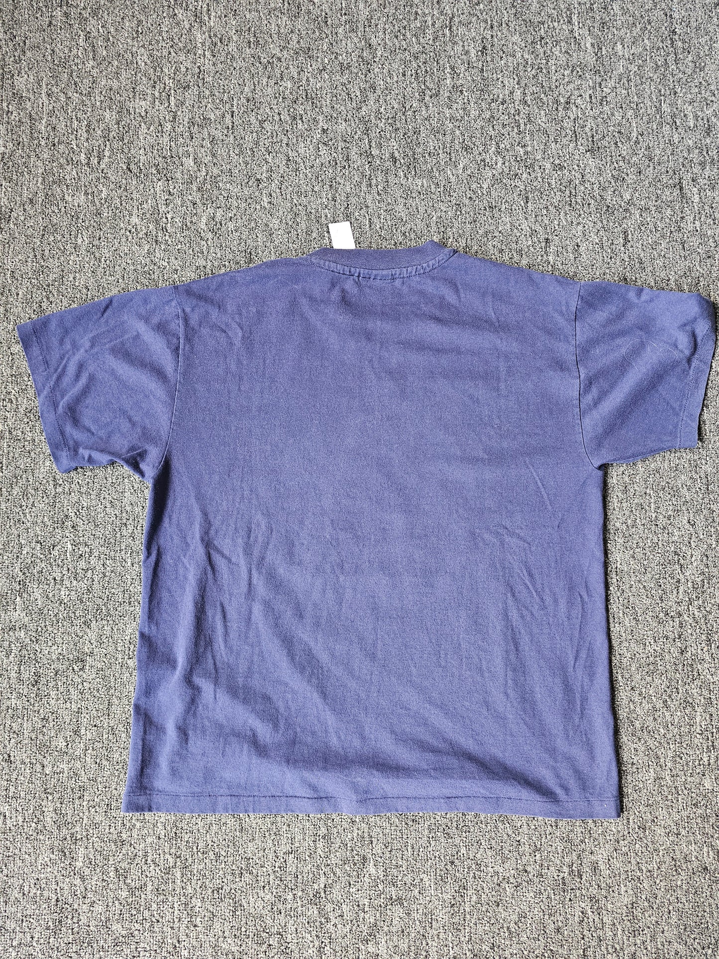 Arizona Desert Nature Tee (L)