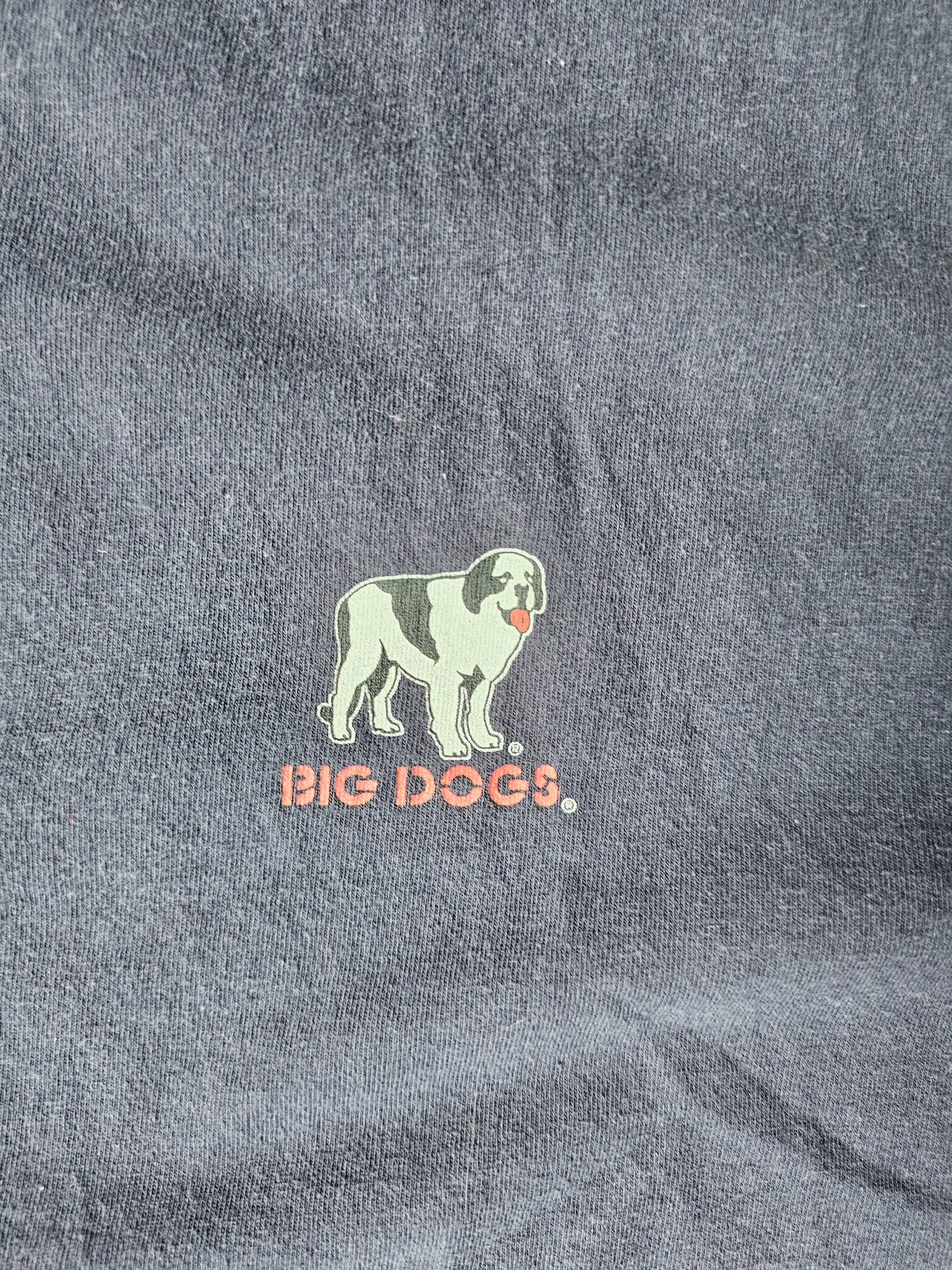 2006 Big Dogs You Cant Fix Stupid Funny Tee (XL)