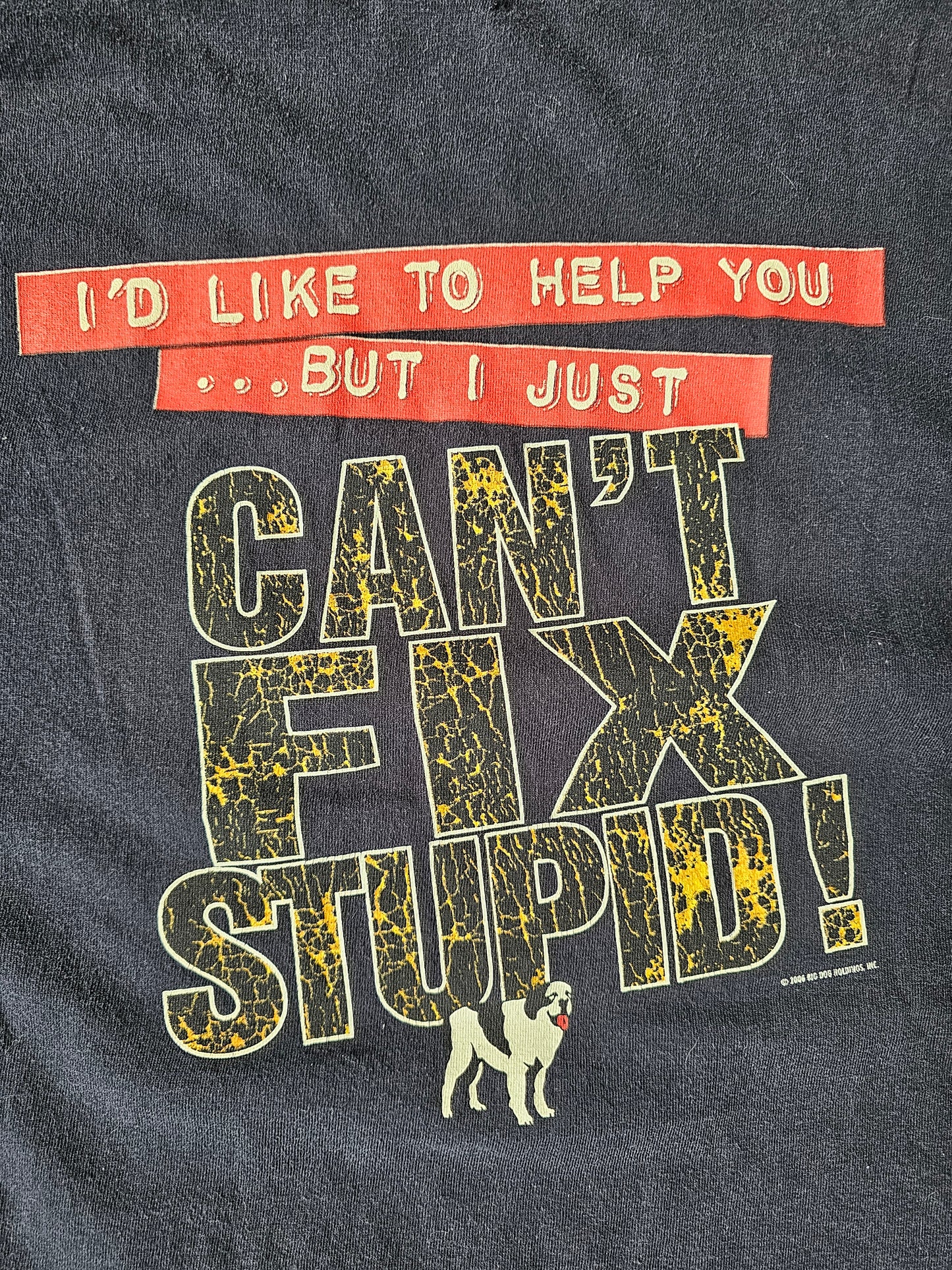 2006 Big Dogs You Cant Fix Stupid Funny Tee (XL)