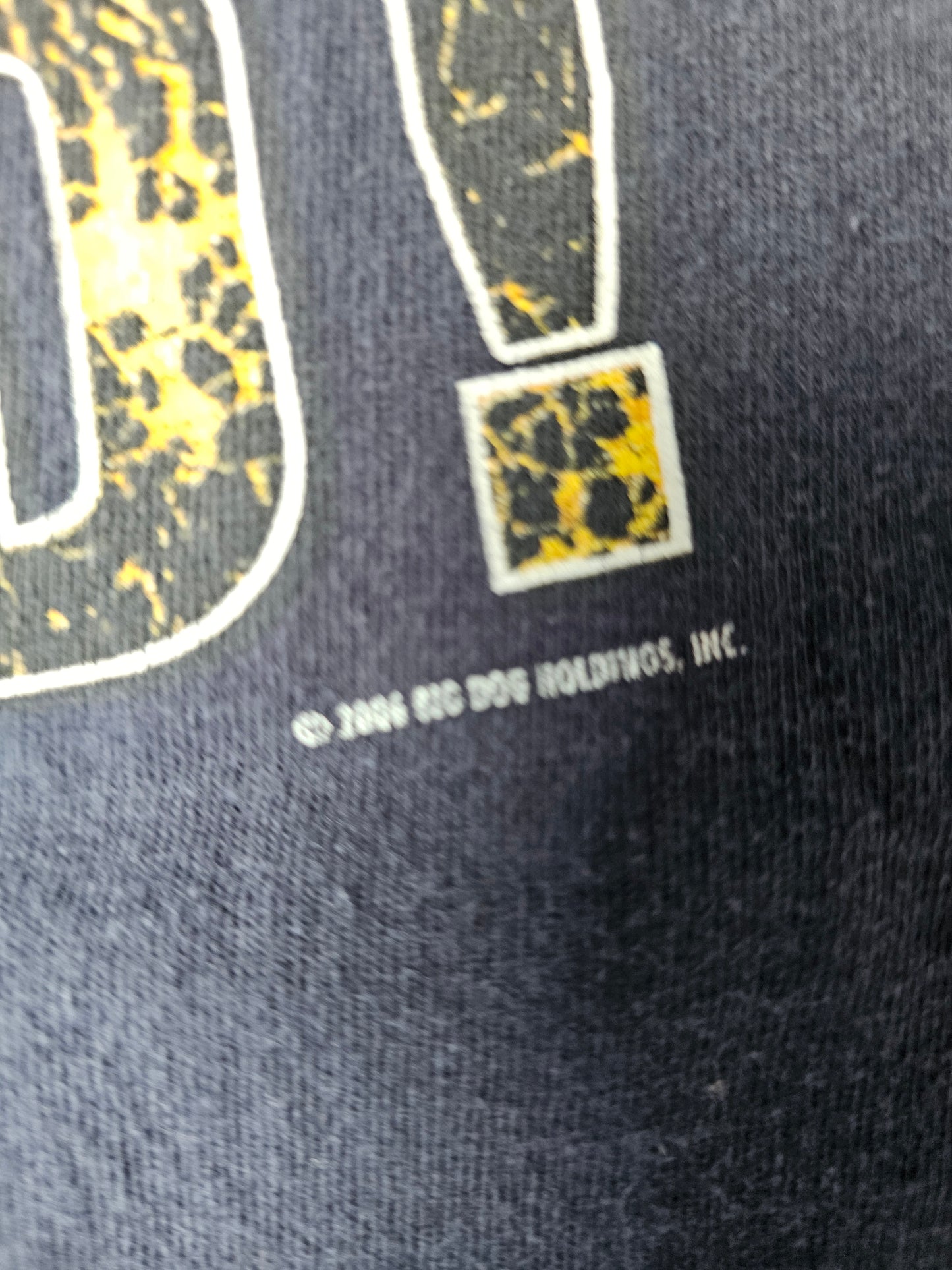 2006 Big Dogs You Cant Fix Stupid Funny Tee (XL)