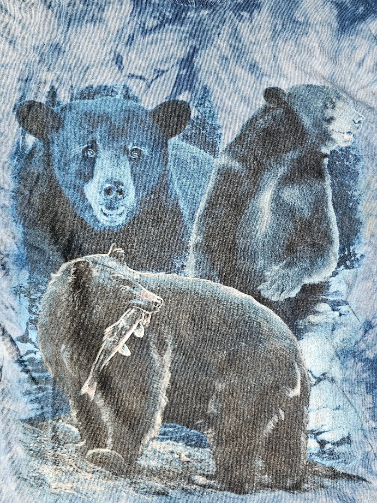 Bear Tie Dye Nature Tee (L)