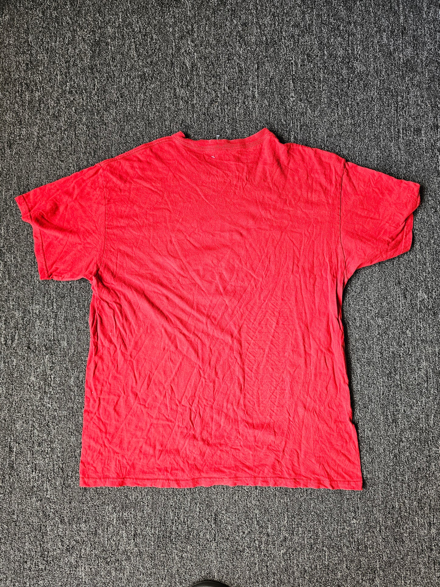 My Lifeguard Walks on Water Tee (L)