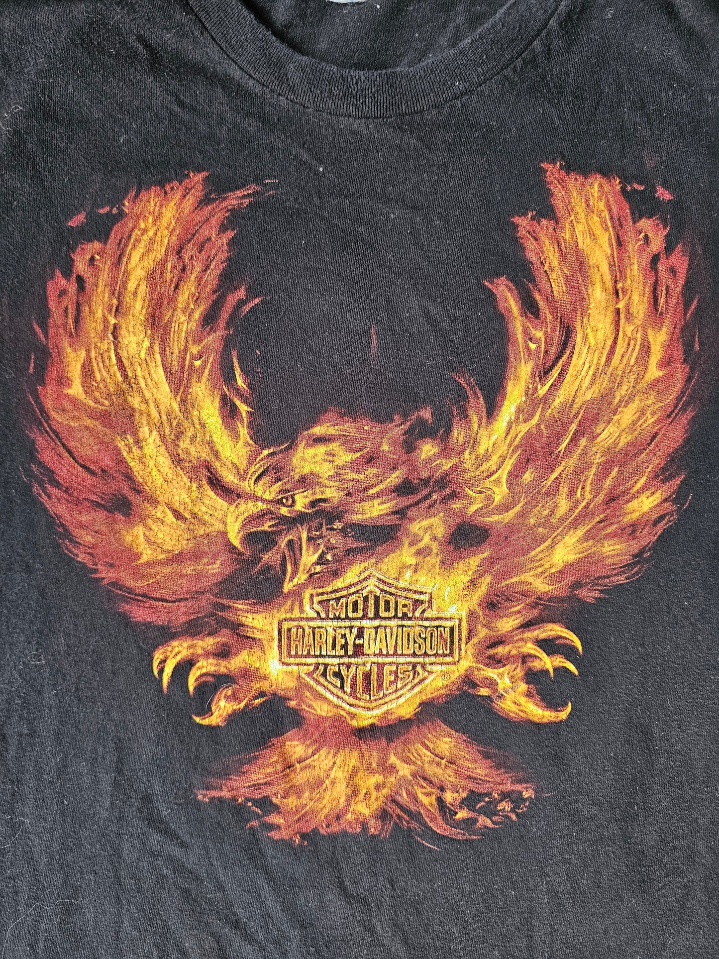 Harley Davidson Flaming Eagle Rt 66 Albuquerque NM (XL)