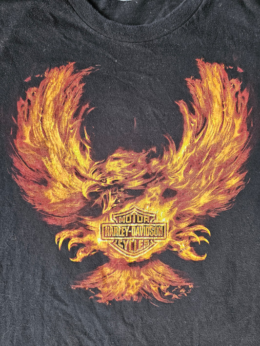Harley Davidson Flaming Eagle Rt 66 Albuquerque NM (XL)