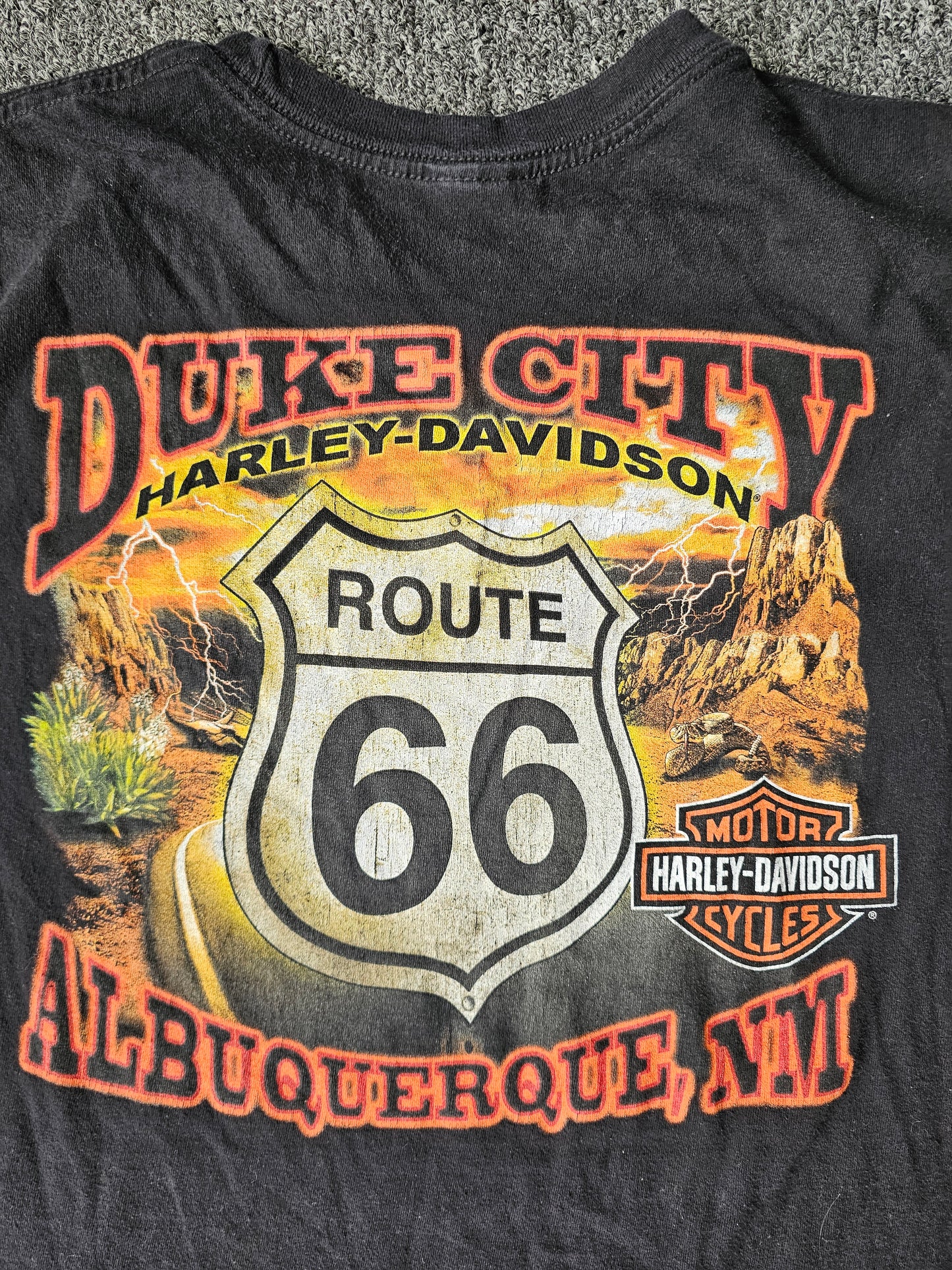 Harley Davidson Flaming Eagle Rt 66 Albuquerque NM (XL)