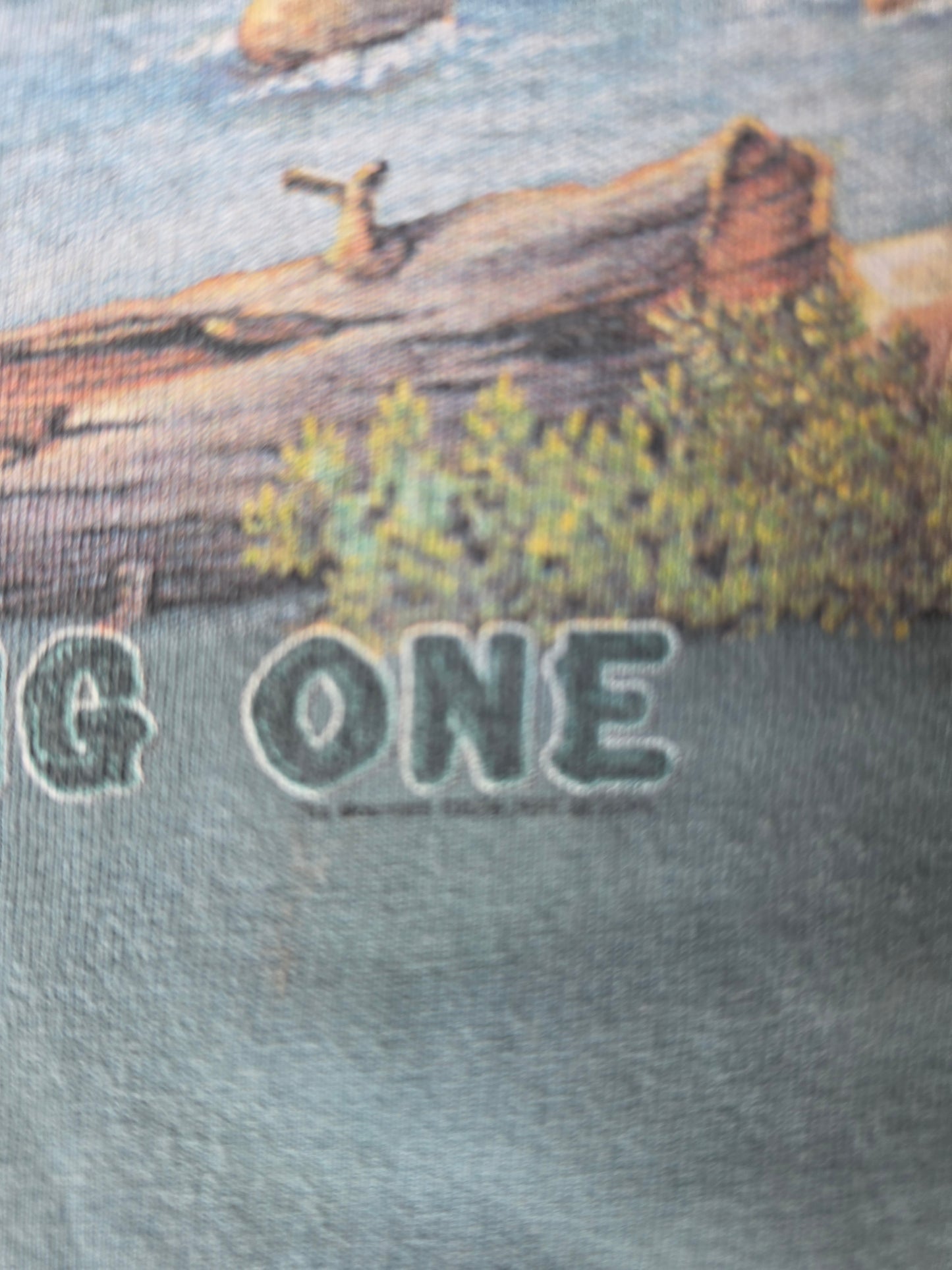 The Big One Mountain Green 90s Nature Tee (XL]