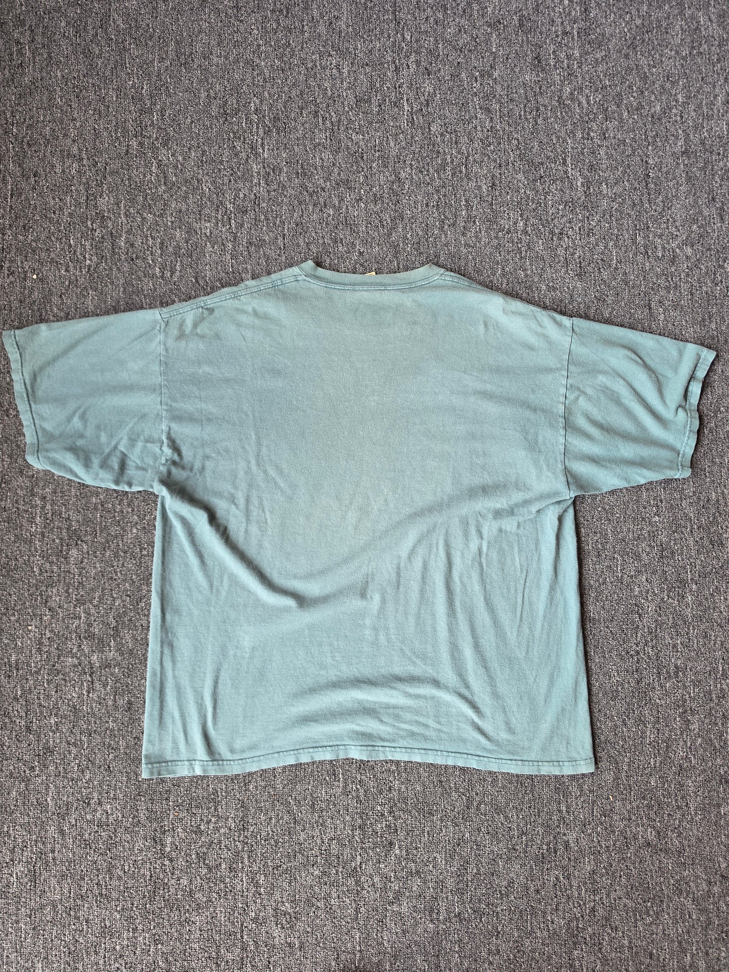 The Big One Mountain Green 90s Nature Tee (XL]