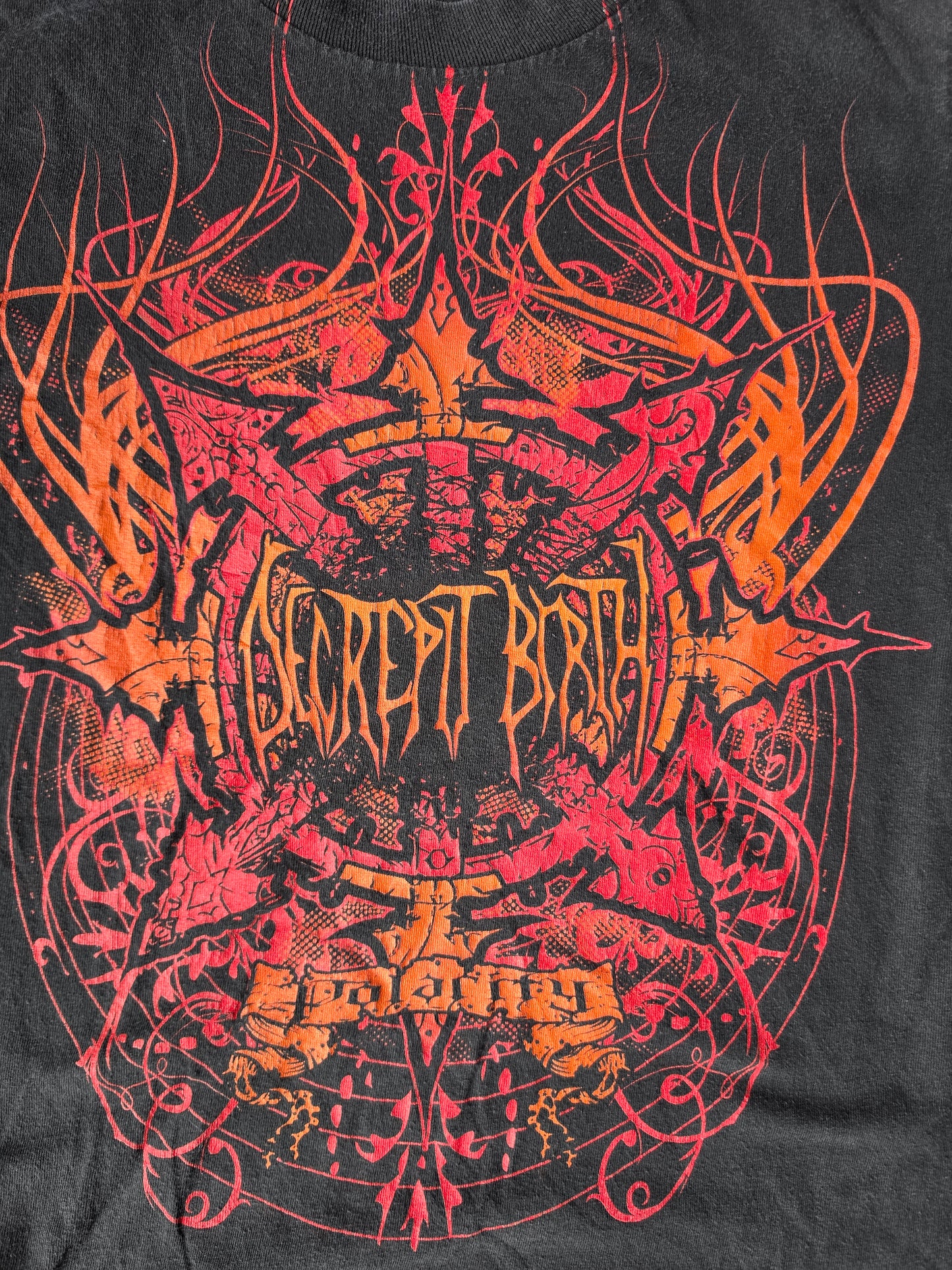 Decrepit Birth Polarity Band Tee (S)