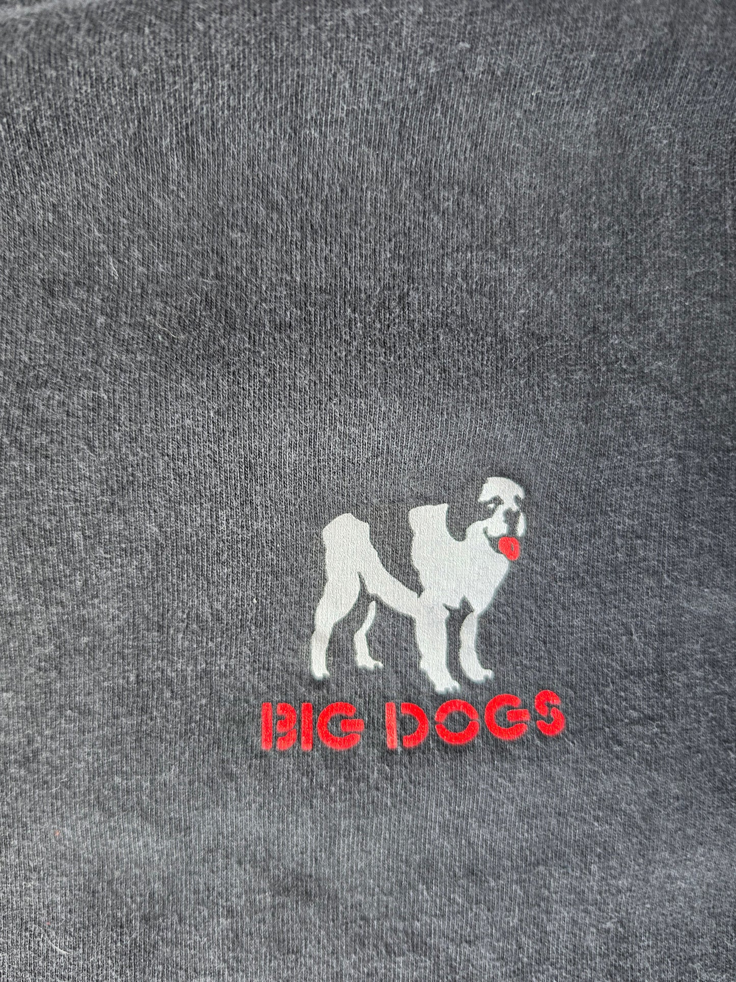 Big Dog Electric Shorts (XL)