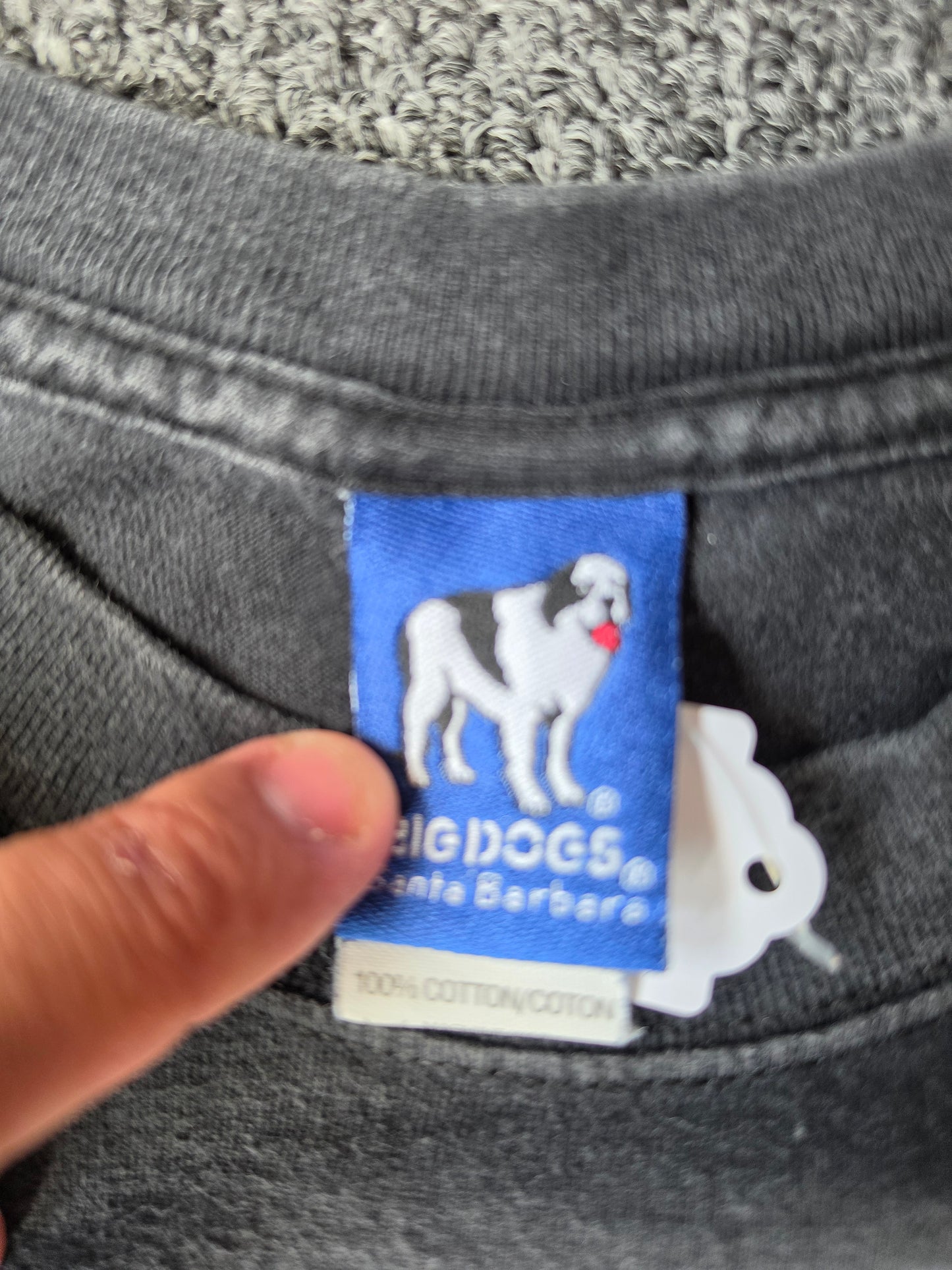 Big Dog Electric Shorts (XL)