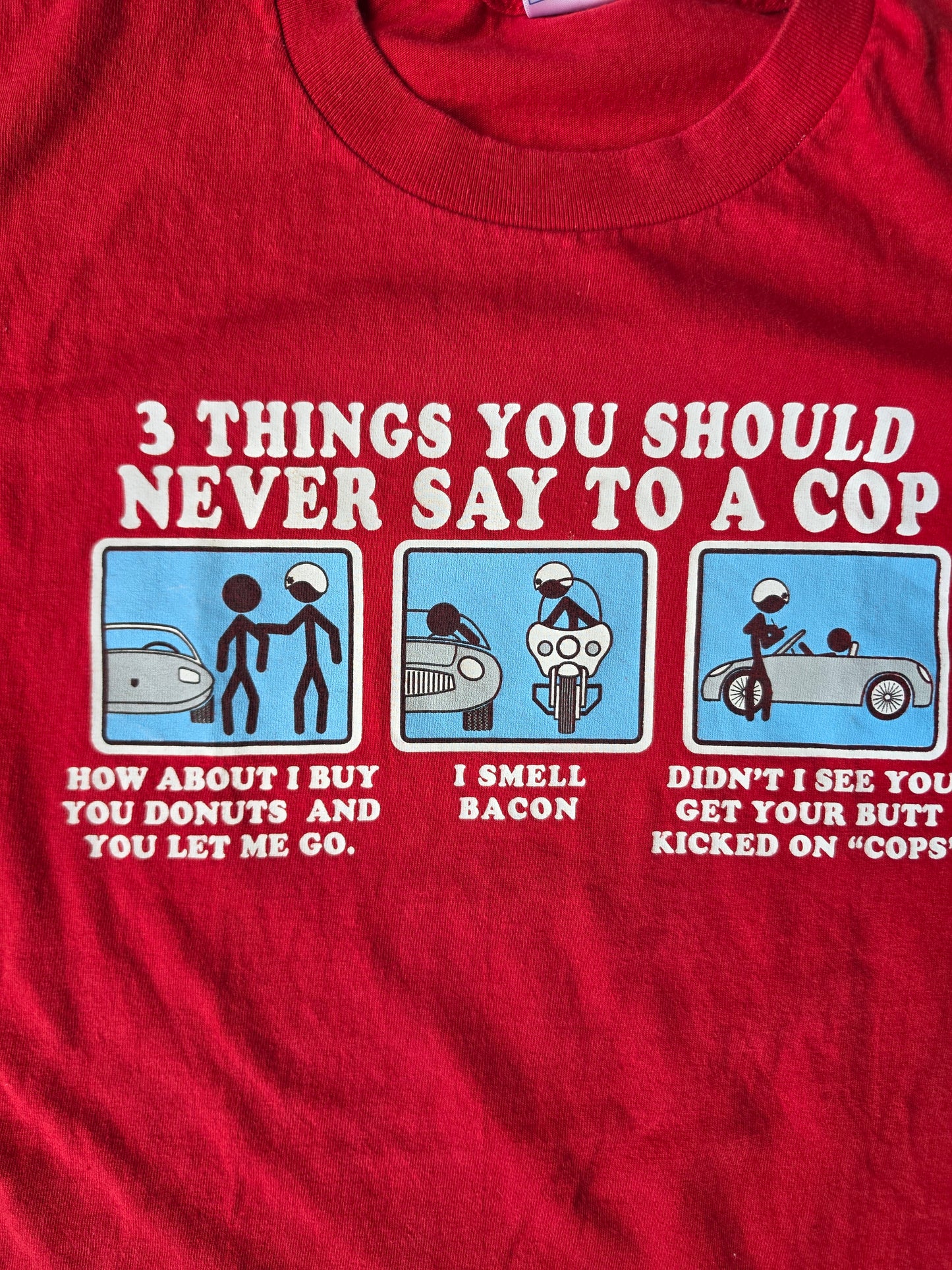 3 Things You Should Never Say To A Cop Funny Tee (L)