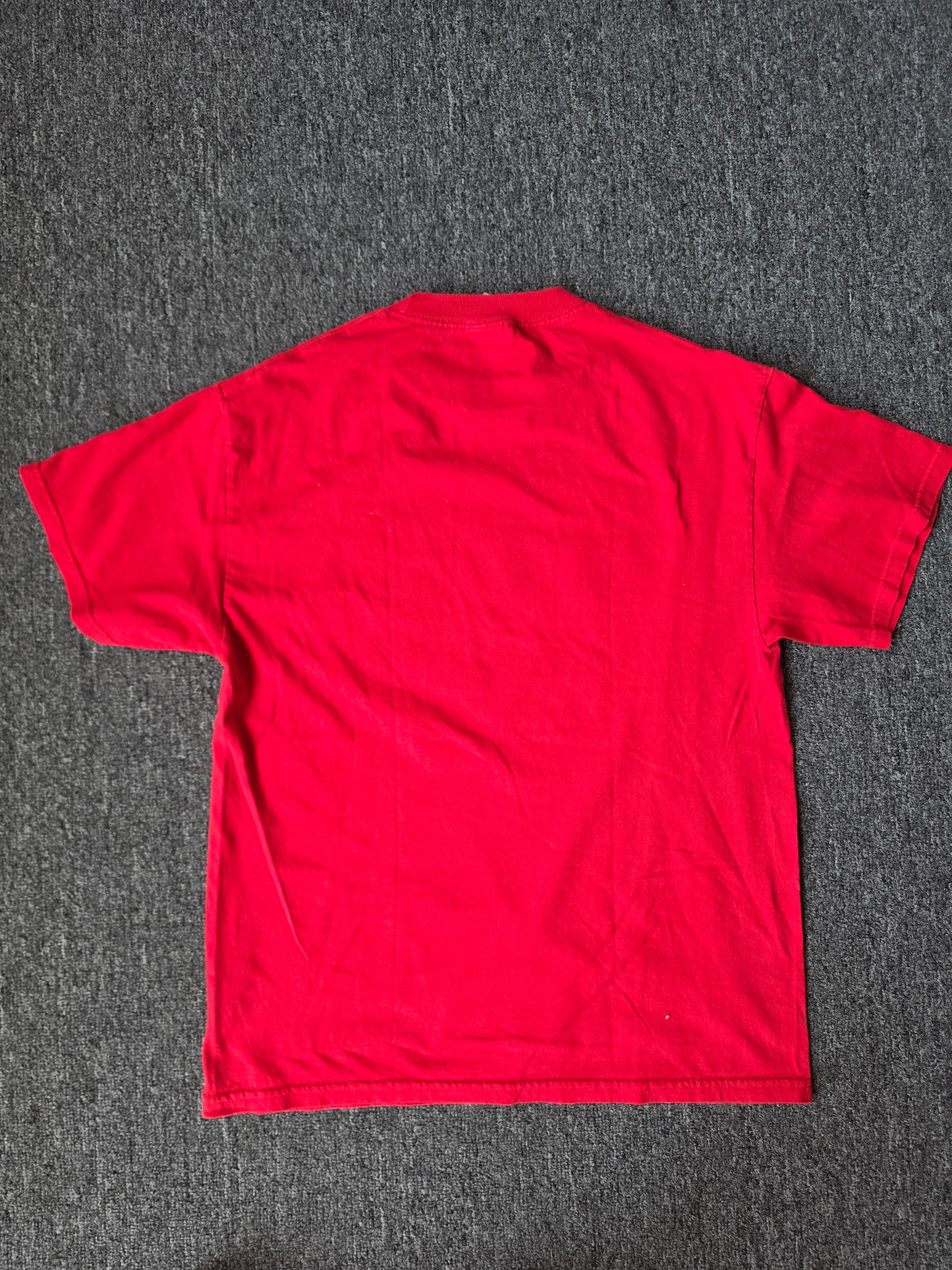 3 Things You Should Never Say To A Cop Funny Tee (L)