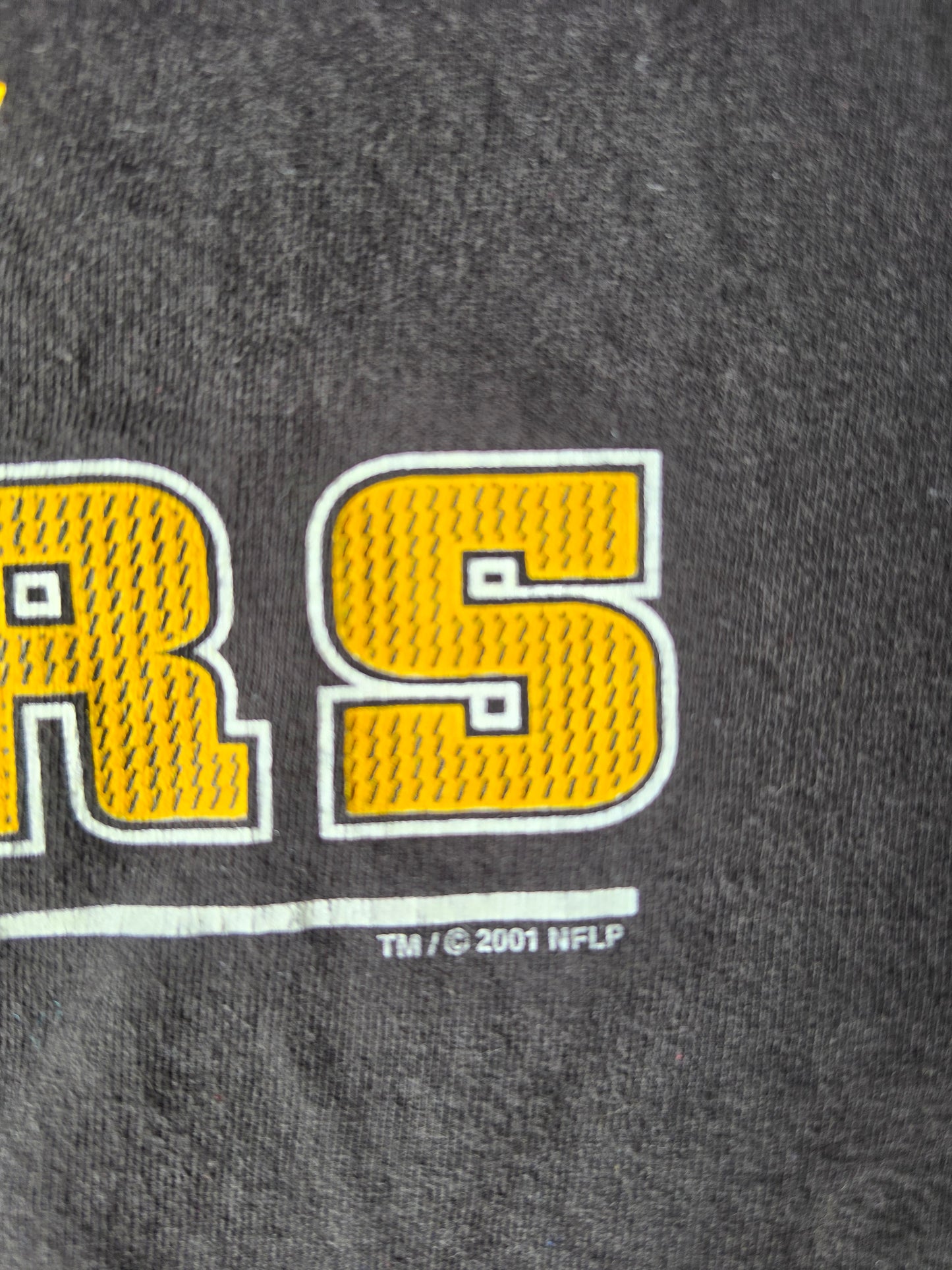 Pittsburgh Steelers 2001 NFL Tee (2XL)