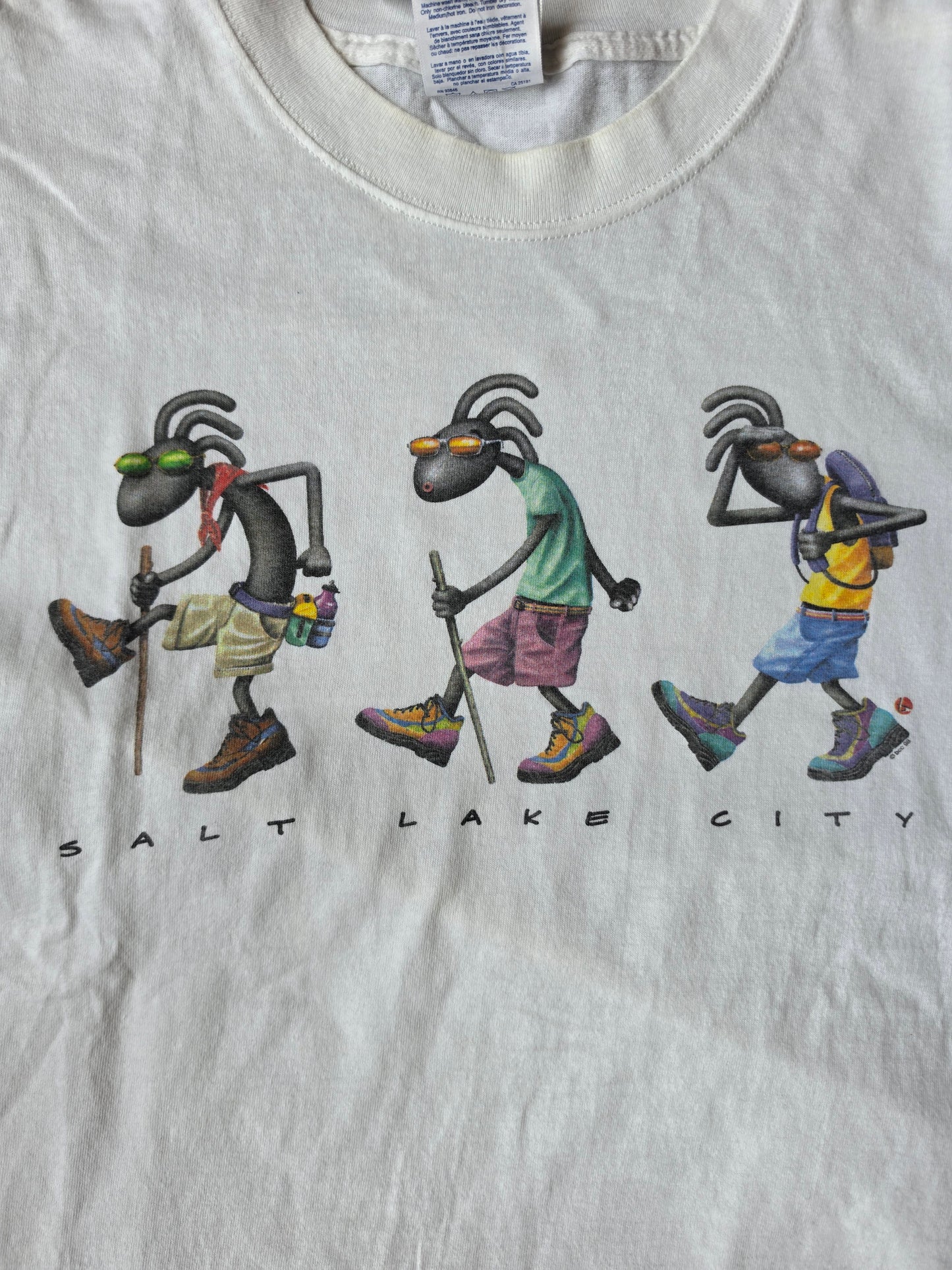 Salt Lake City Hiking Insects (XL)