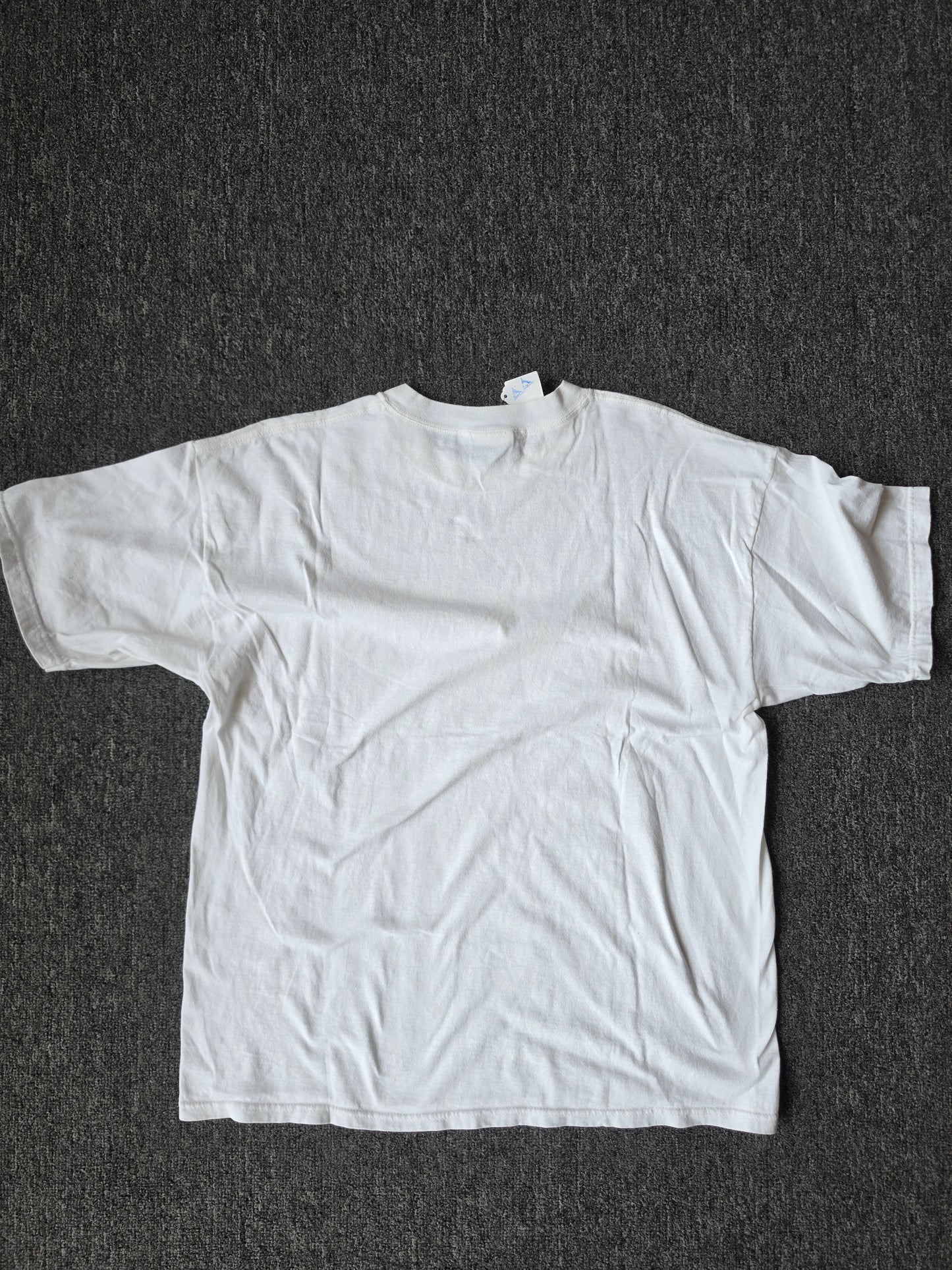 Salt Lake City Hiking Insects (XL)