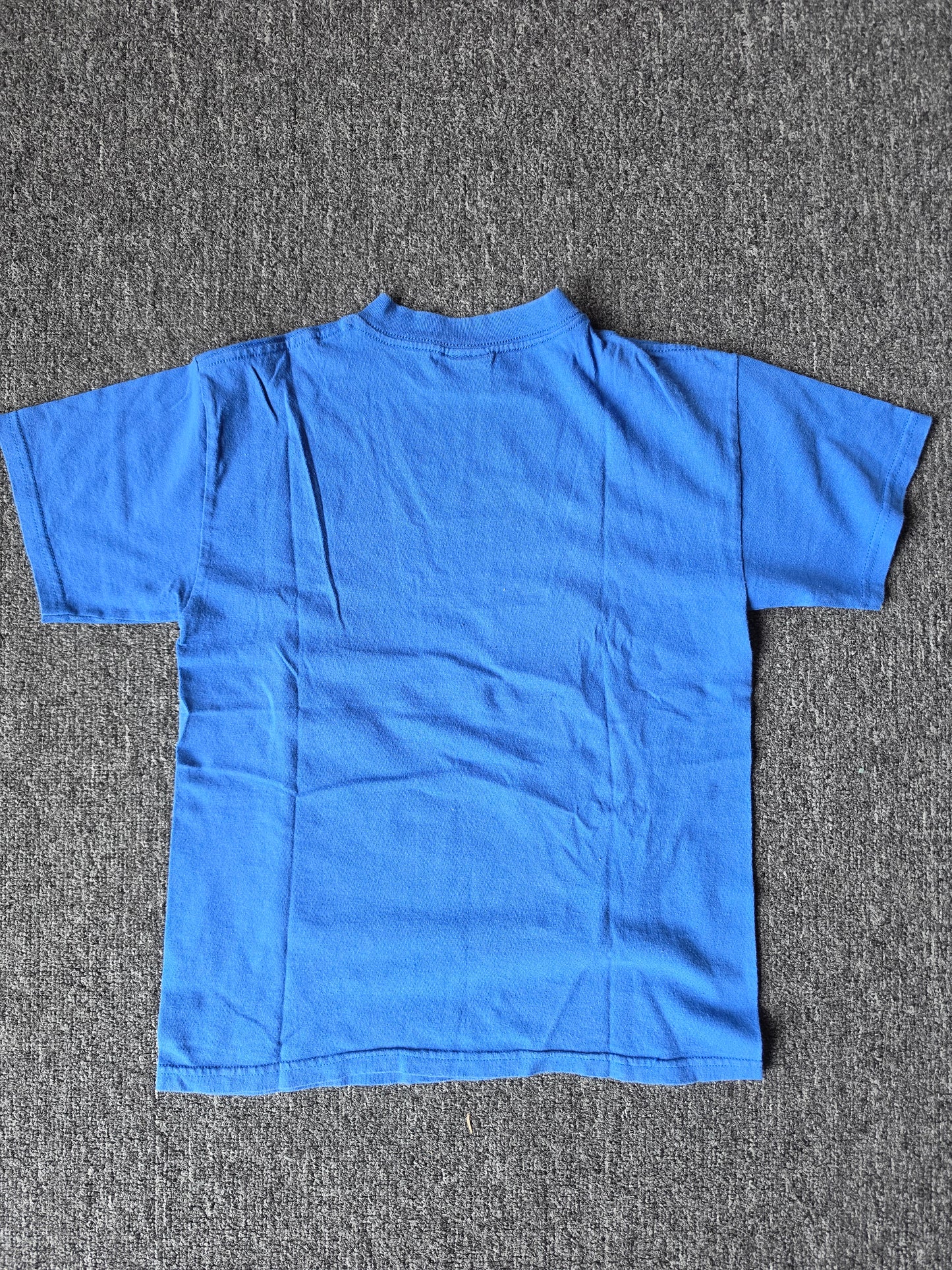 Spiderman 2004 Tee (S)