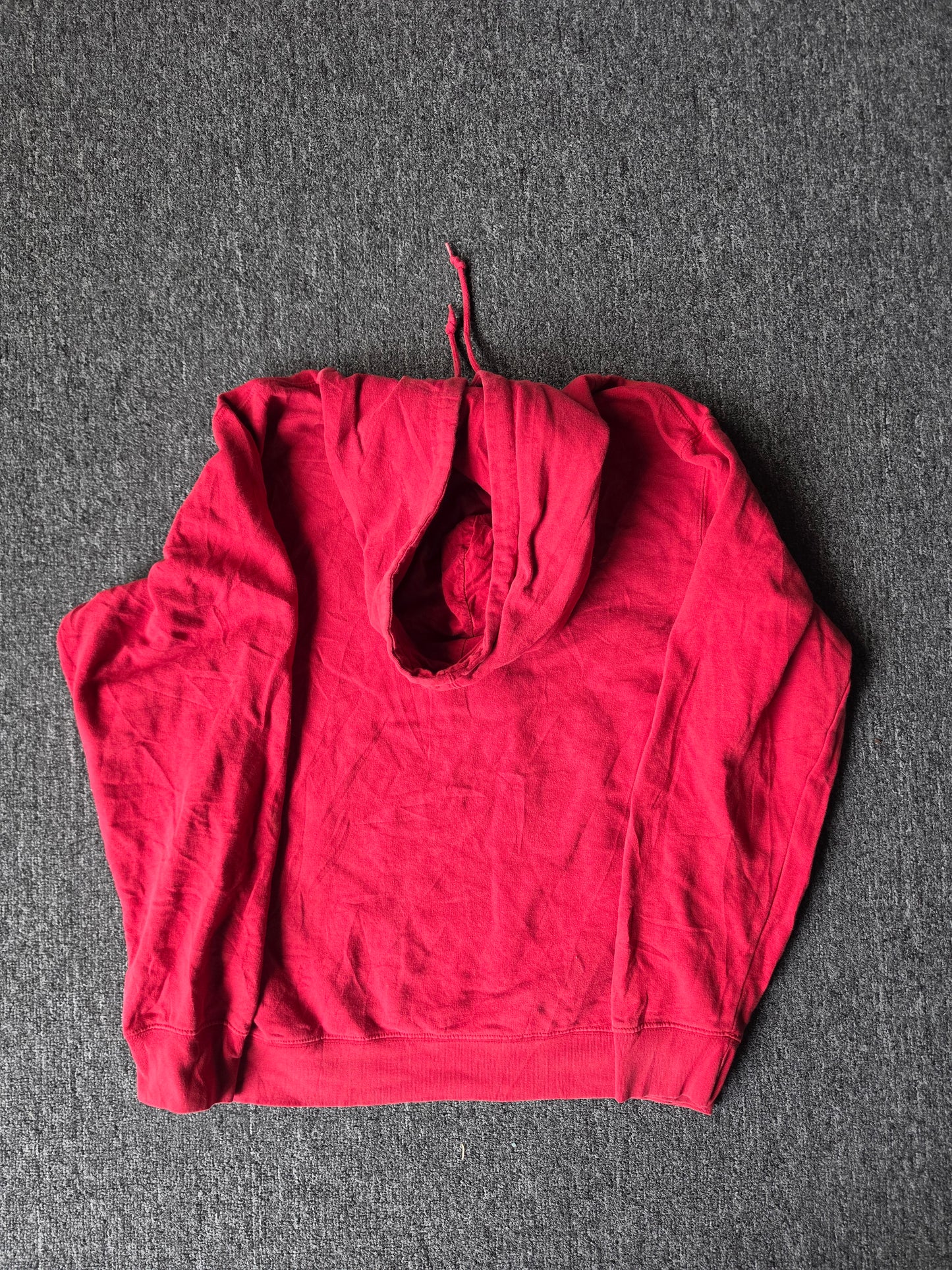 Abercrombie and Fitch Embroidered Hoody (L)