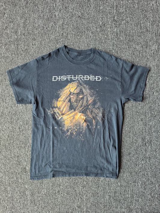 Disturbed Band Tee (L)