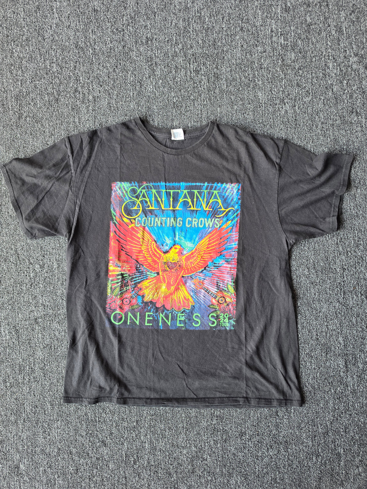 Santana Counting Crows Band Tee (L)