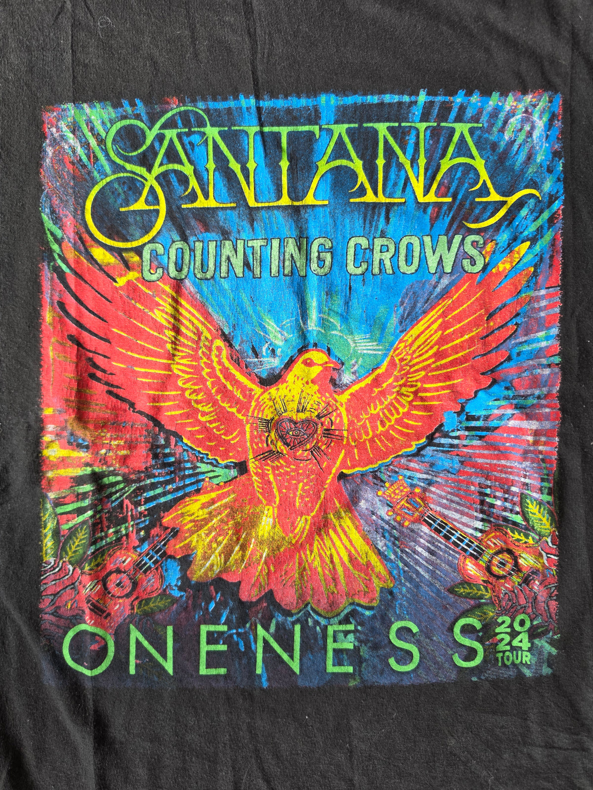 Santana Counting Crows Band Tee (L)