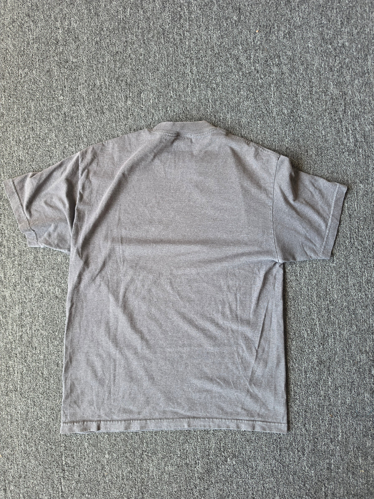Detroit Lions NFL Tee (L)