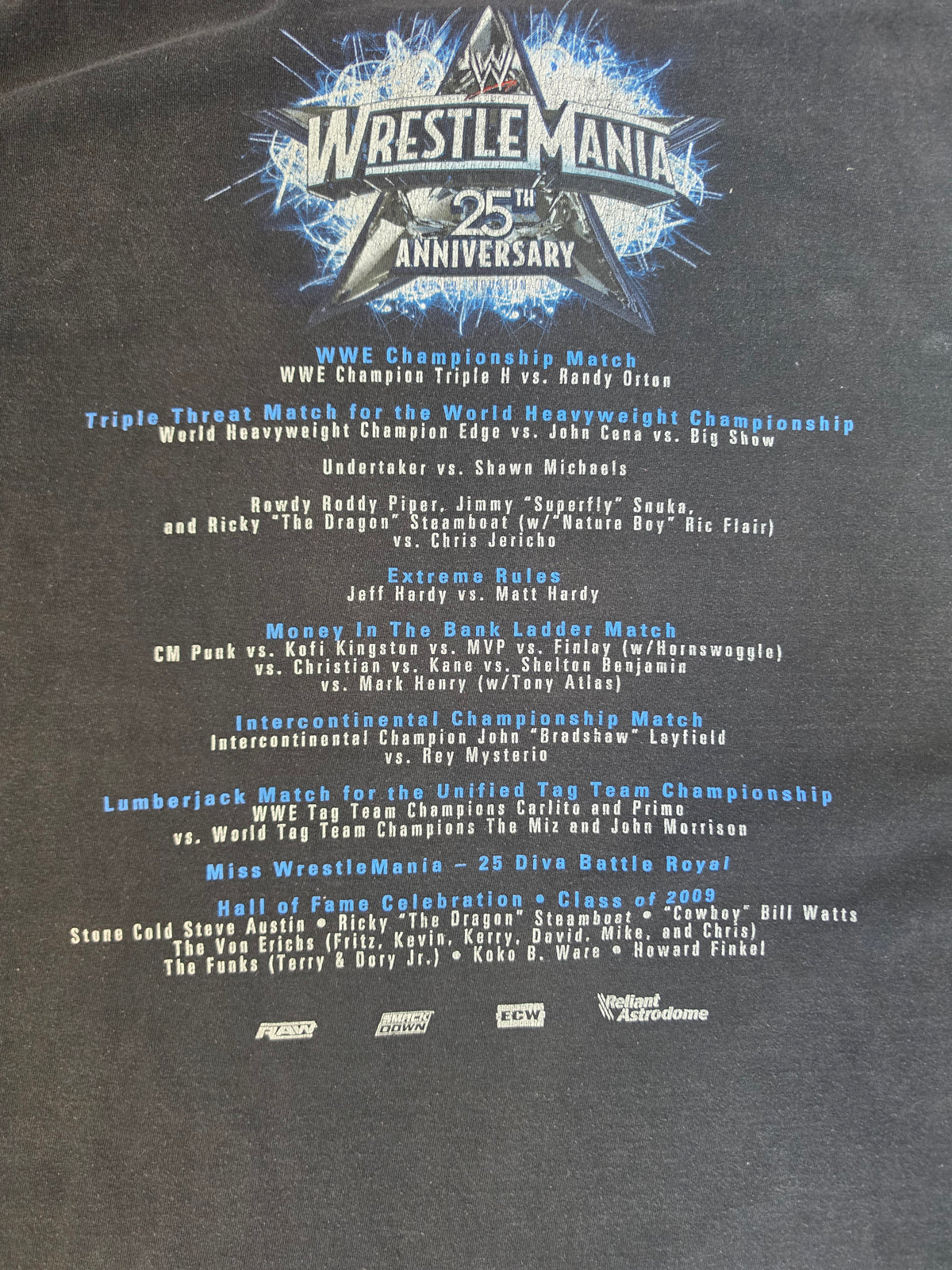 Wrestlemania 25th Anniversary Triple H, Undertaker, and More (3XL)