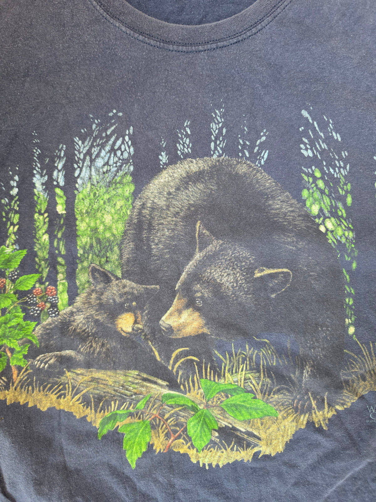 Mama Bear & Baby Bear Blue Tee (L)