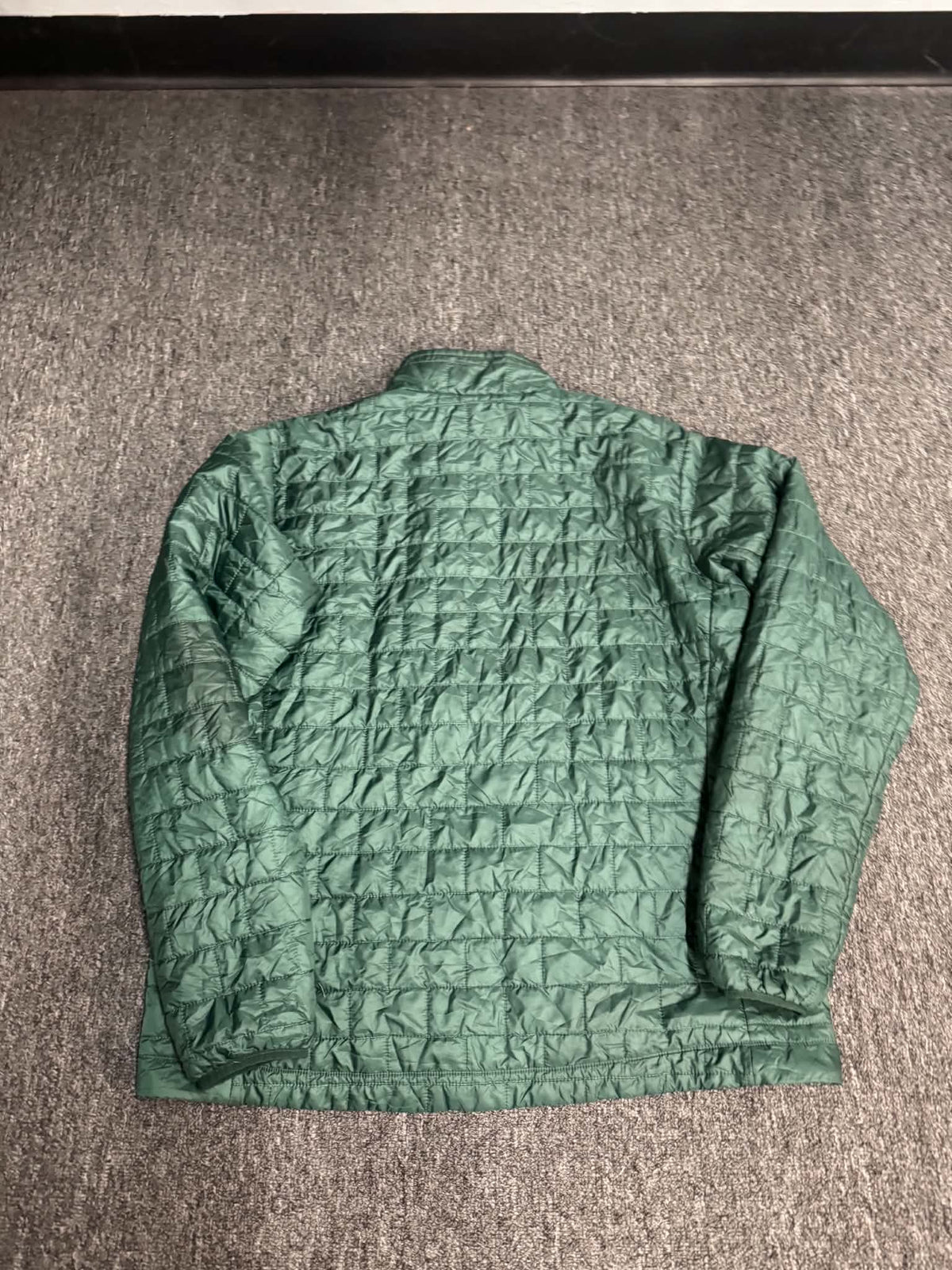 Patagonia Green Coat (2XL)