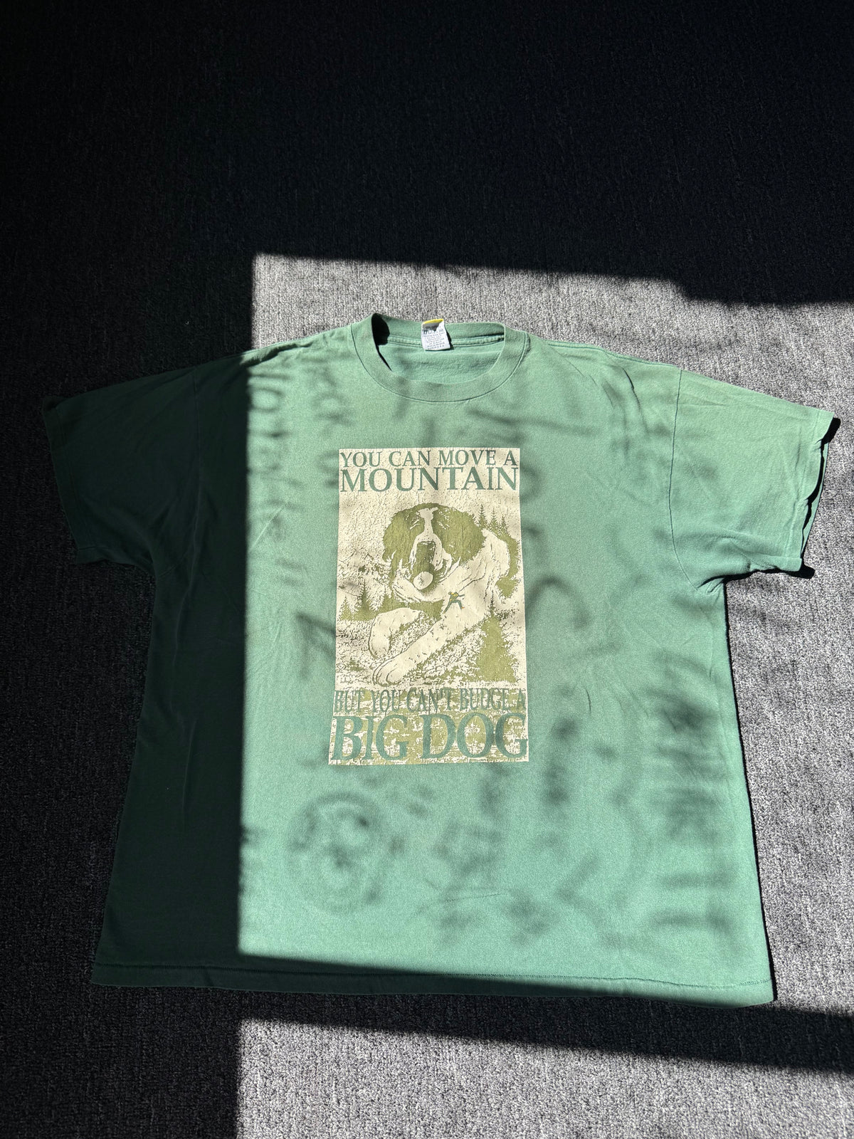 Forest Green Big Dogs Mountain Shirt (XXL)