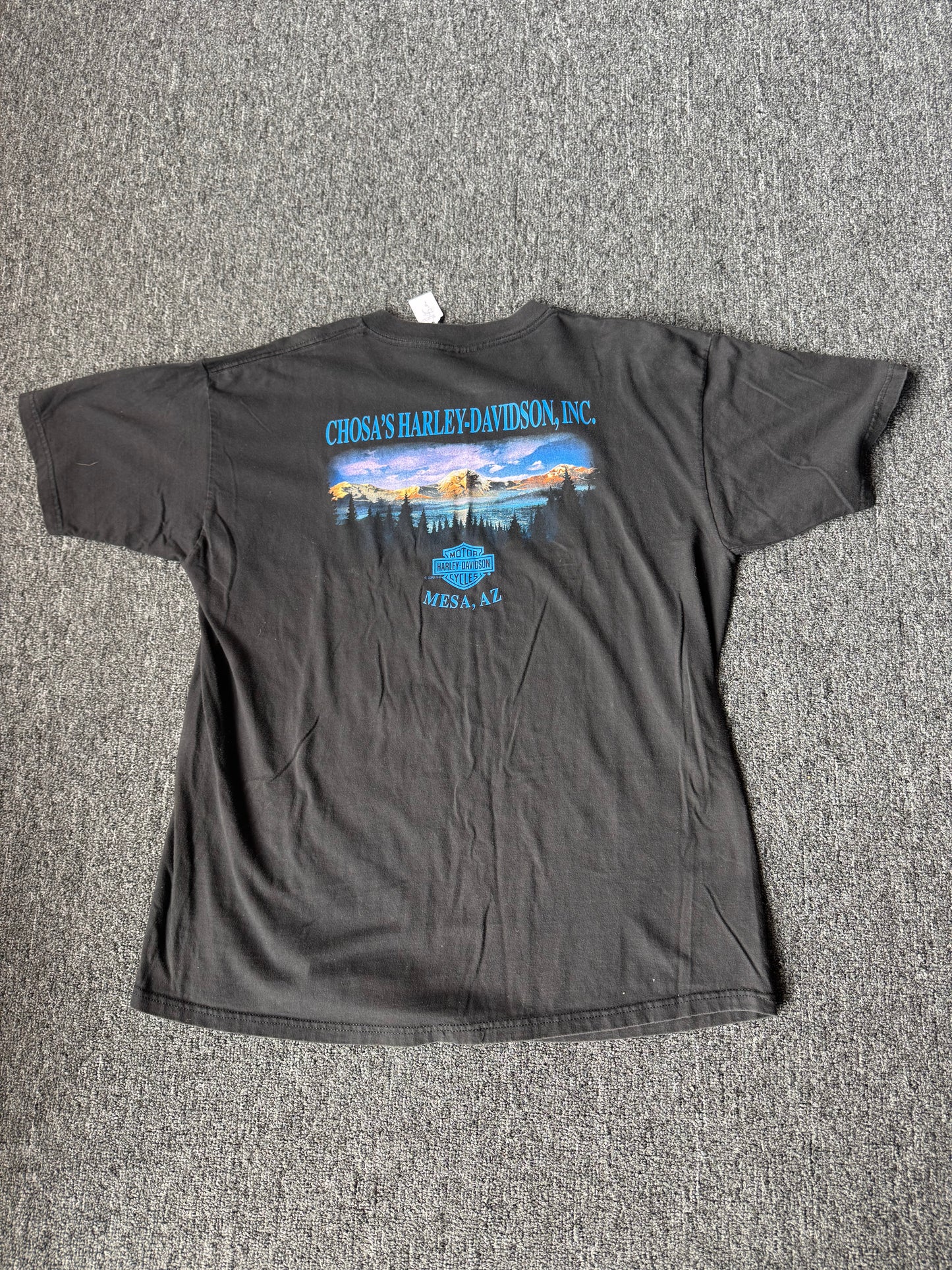 Harley Davidson Globe Shirt (XL)