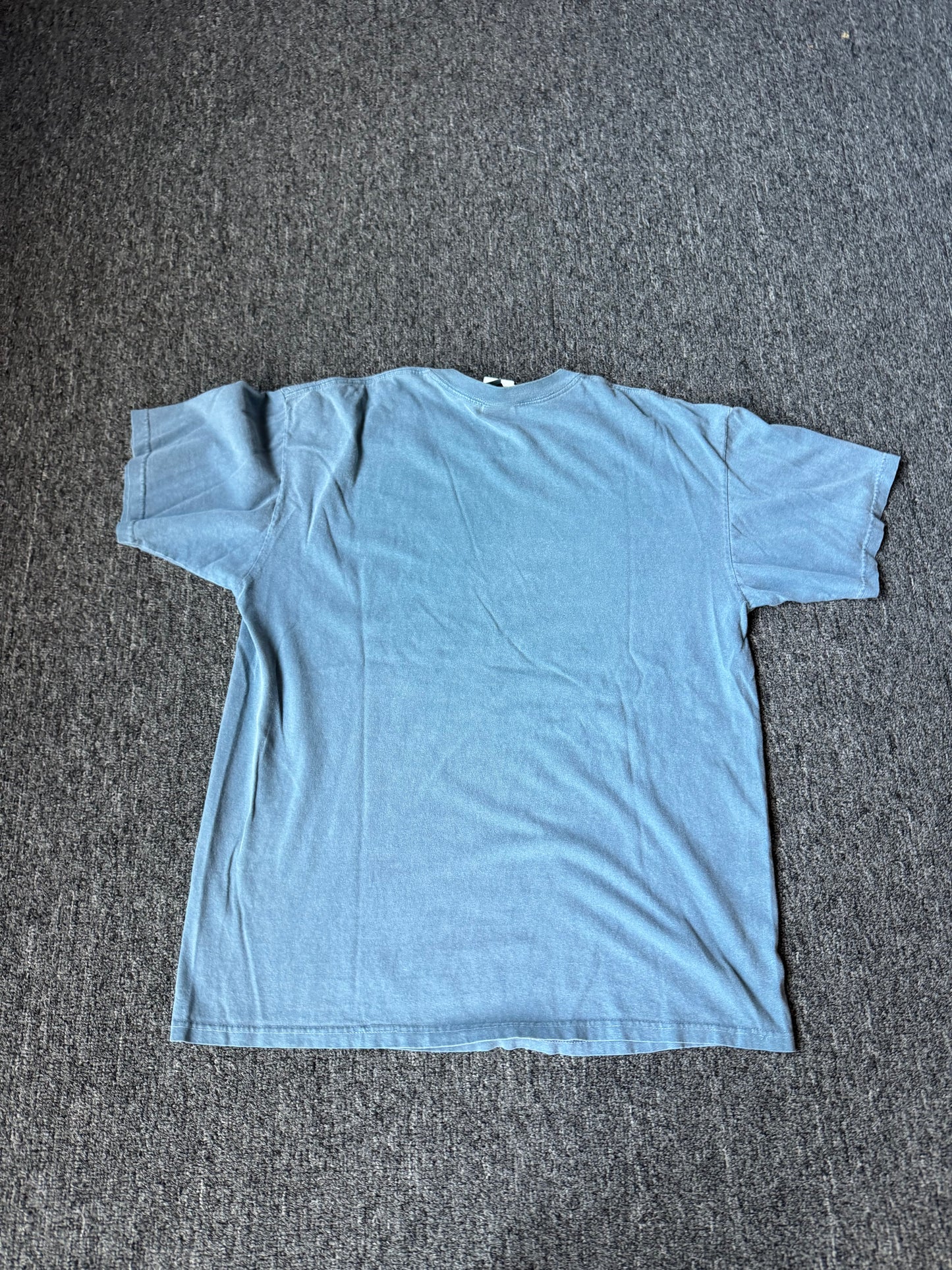 Blue Steamboat Colorado Shirt (L)