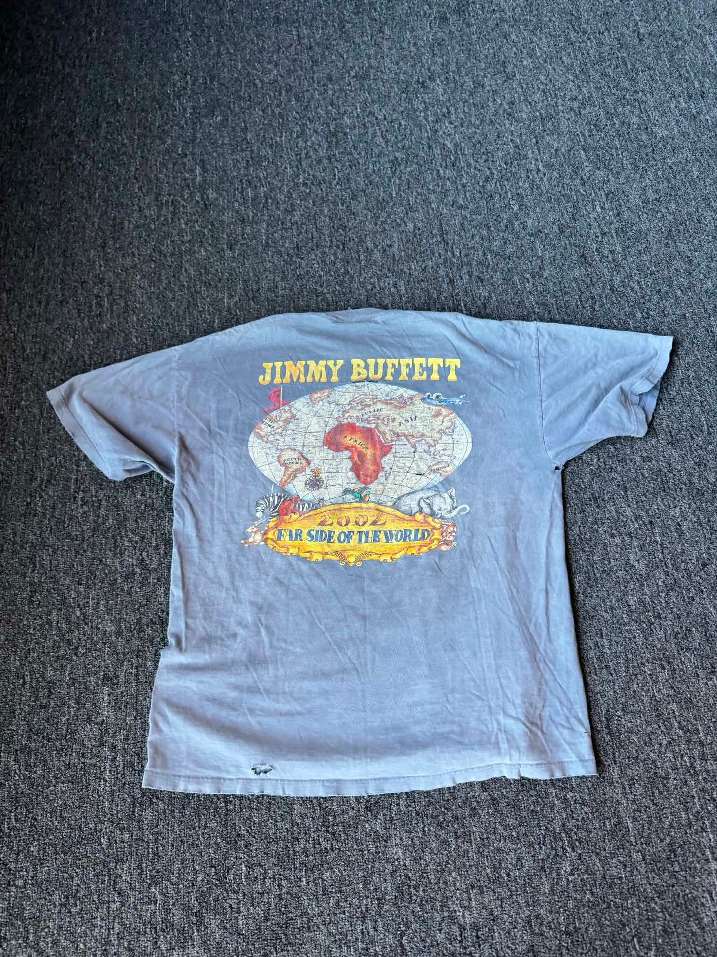 Jimmy Buffet 2002 Distressed Band Tee (L)