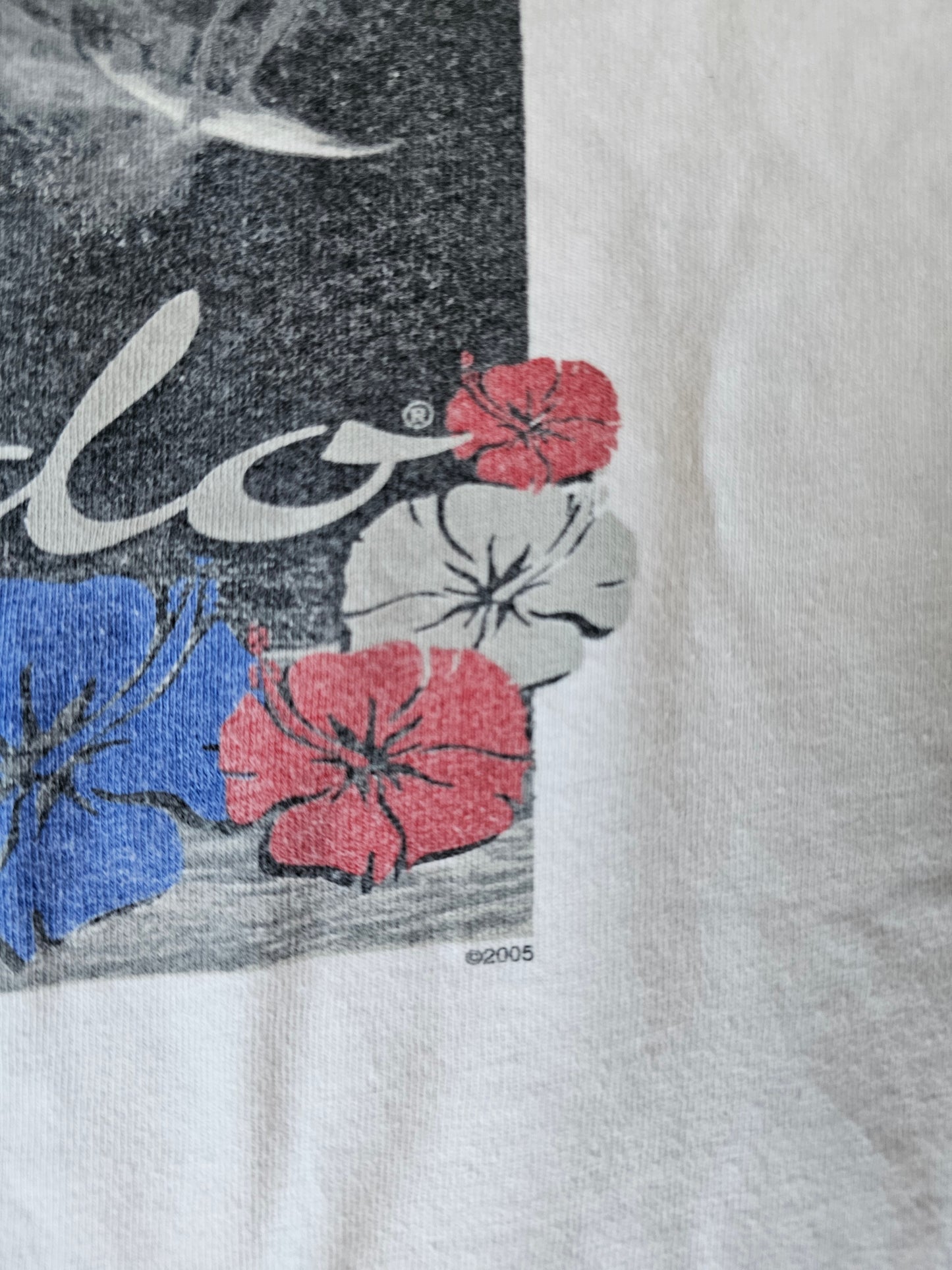 Speedo Surf Y2K 2005 Tee (XL)