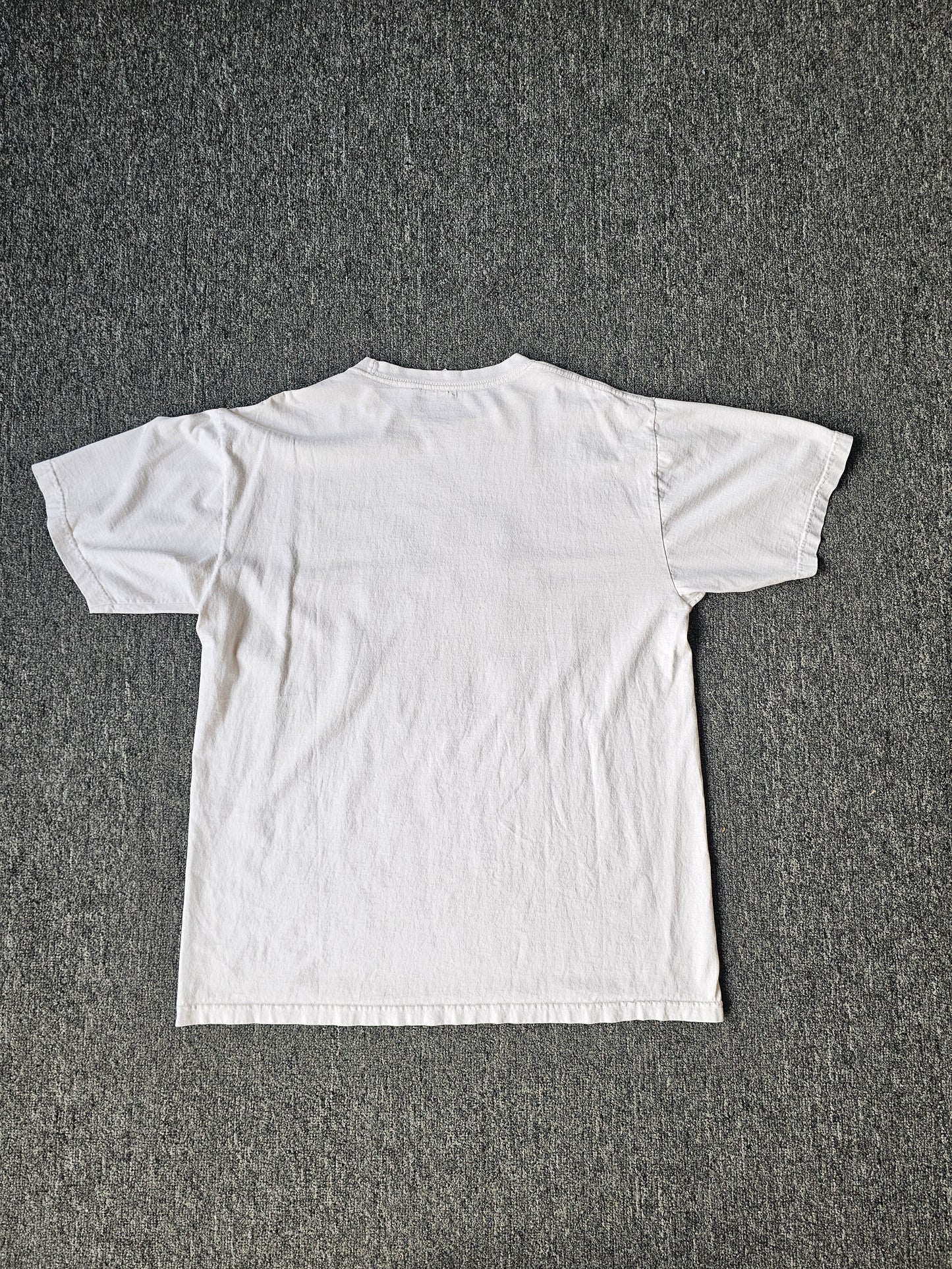 South Pole Y2K Tee (L)